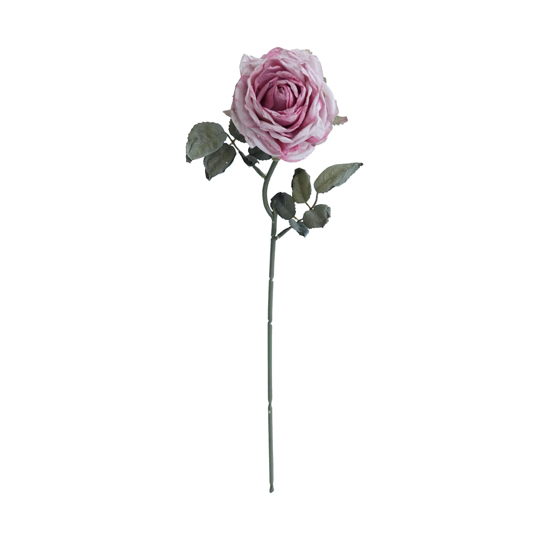 Rose multistrato confine di sughero