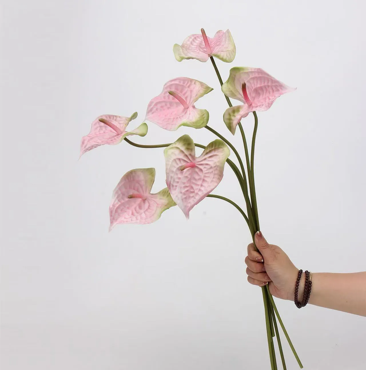 palma di anthurium