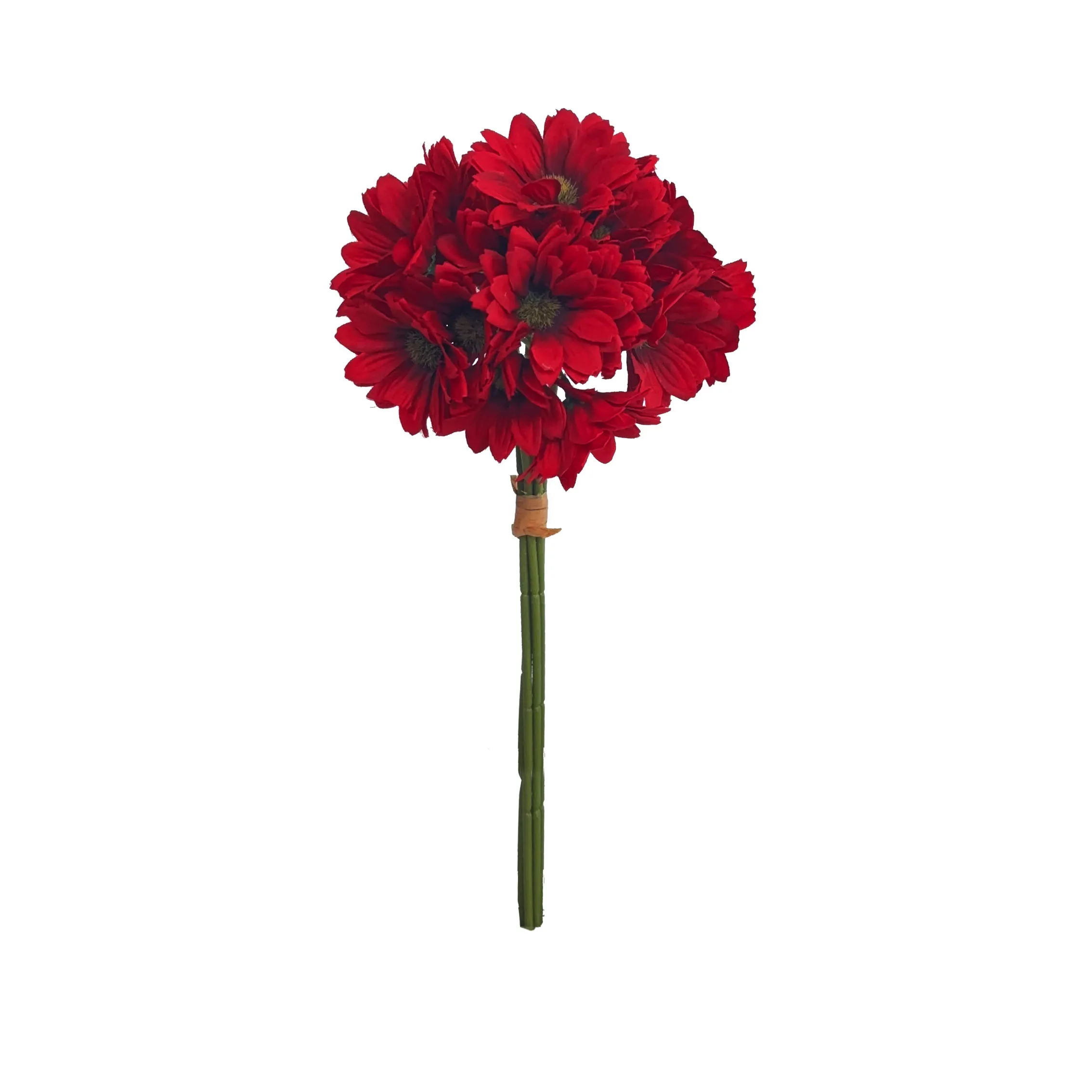 Prendi un sacco di girasoli