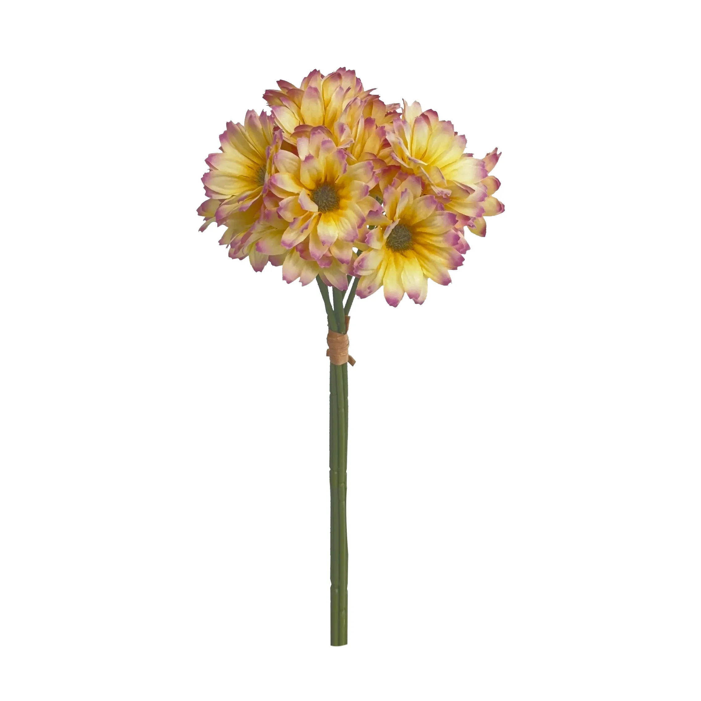 Prendi un sacco di girasoli