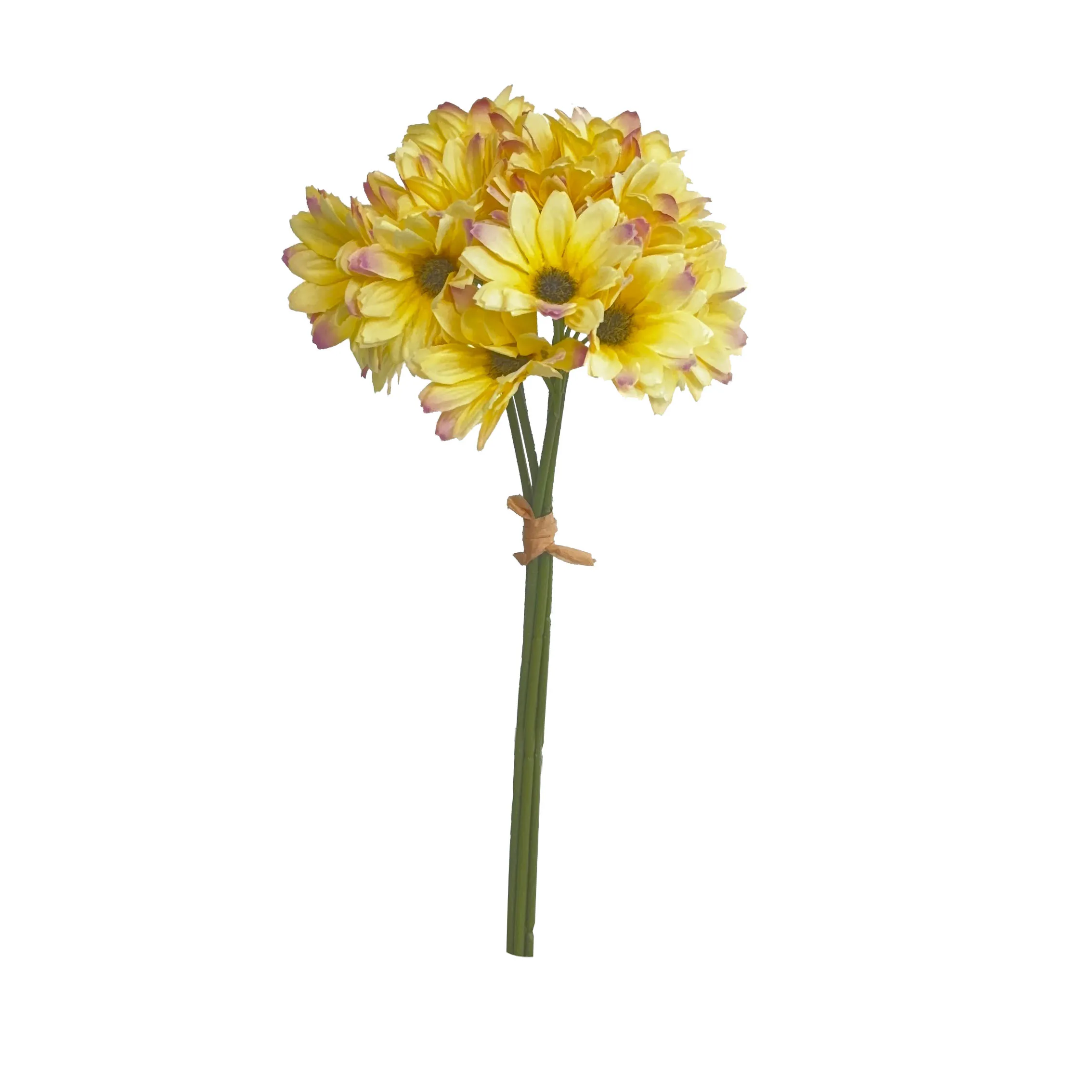 Prendi un sacco di girasoli