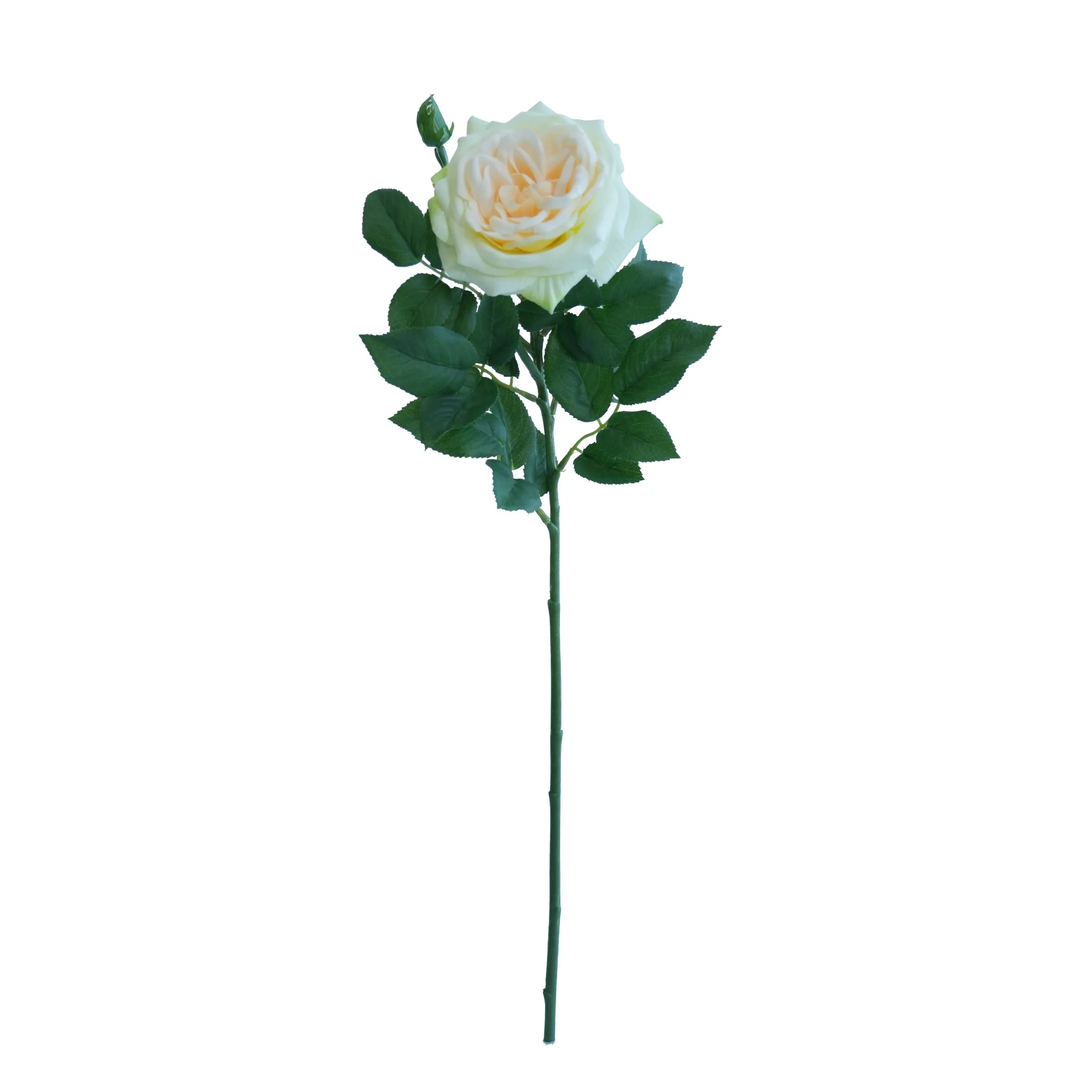 Rose singola Lychee