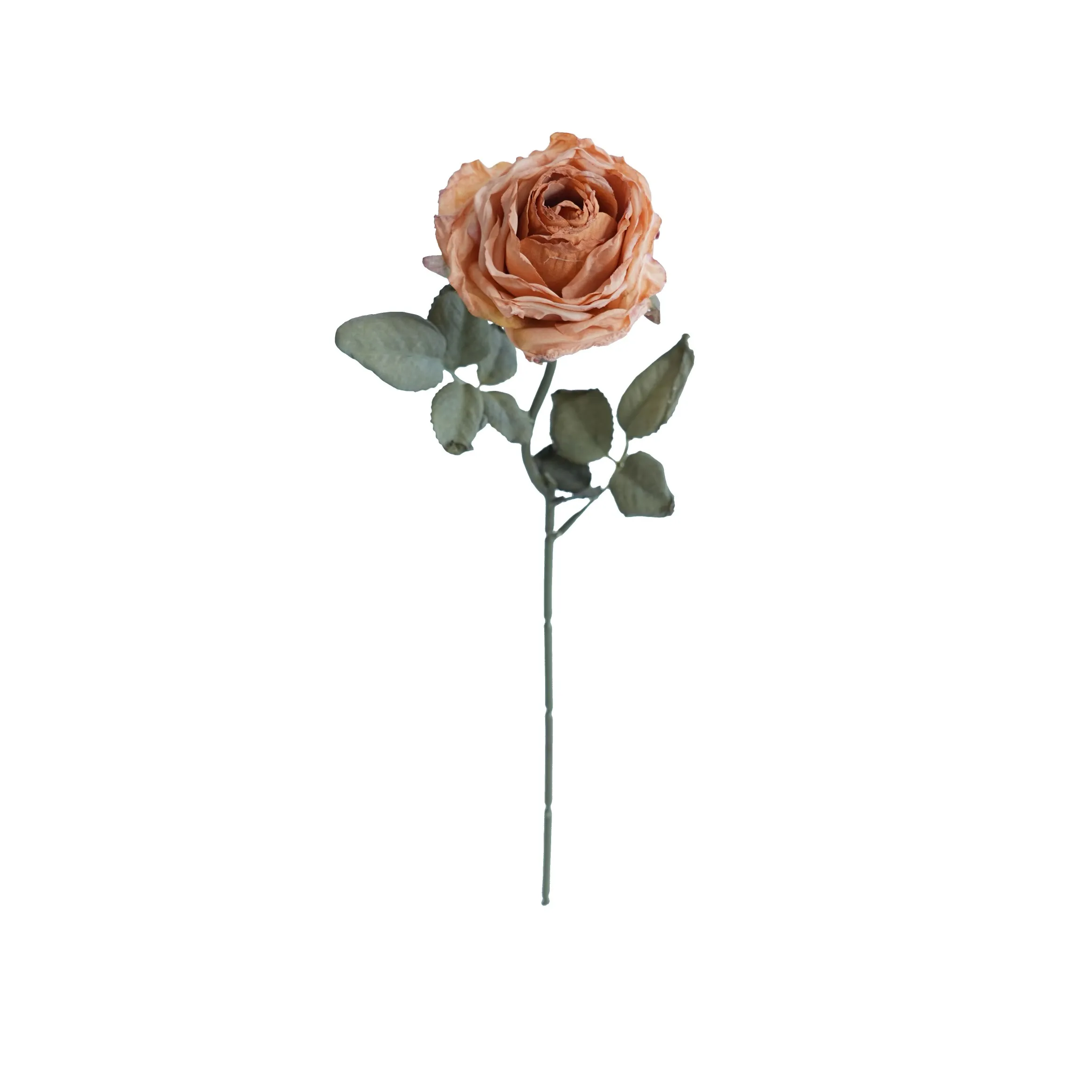 Rose multistrato confine di sughero