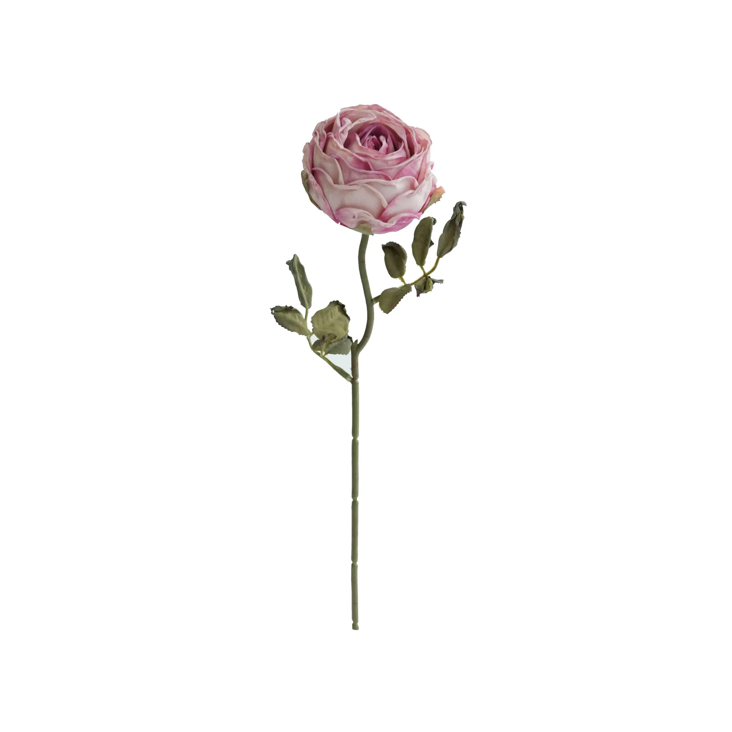 Rose rotonde tritate