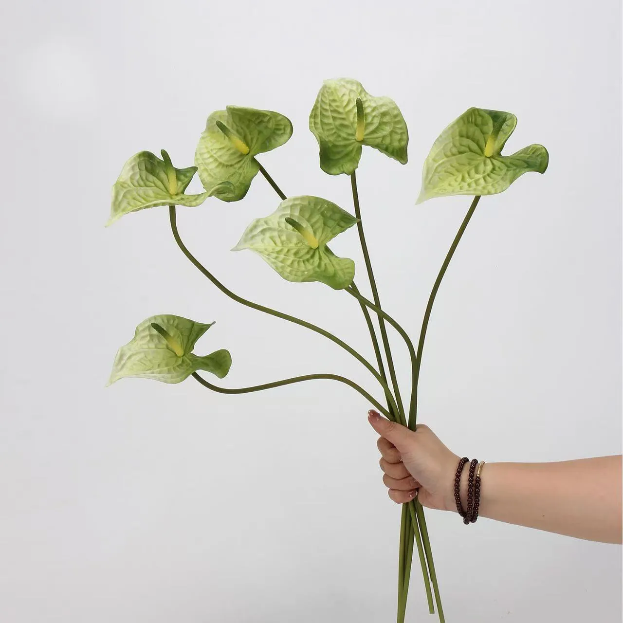 palma di anthurium