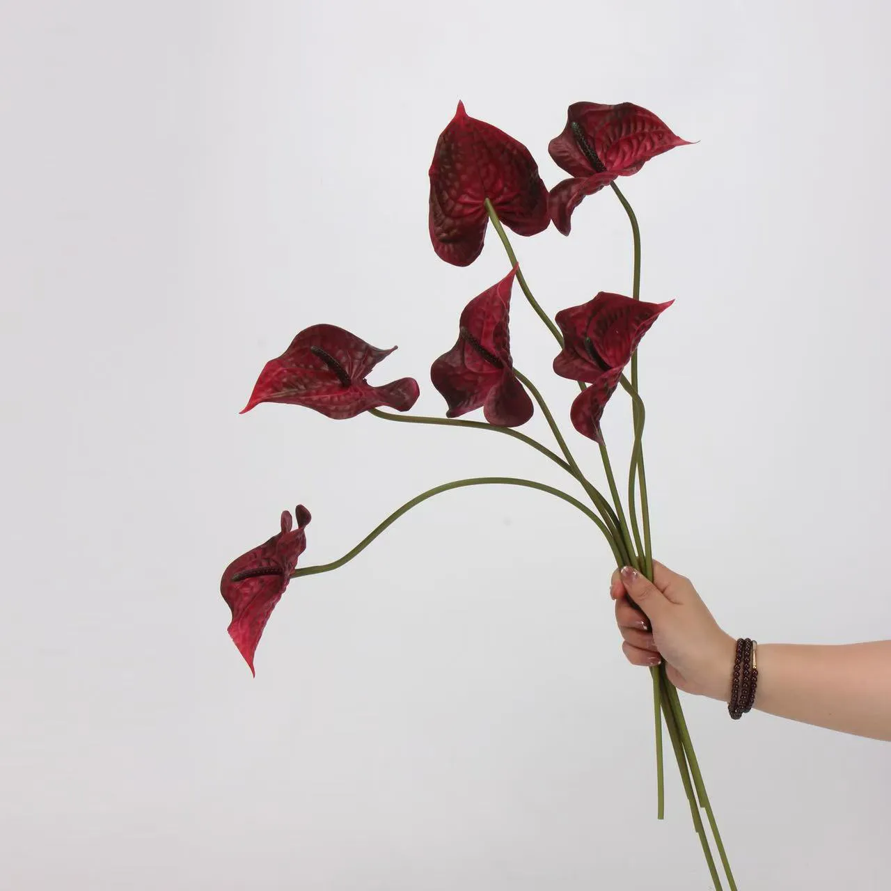 palma di anthurium