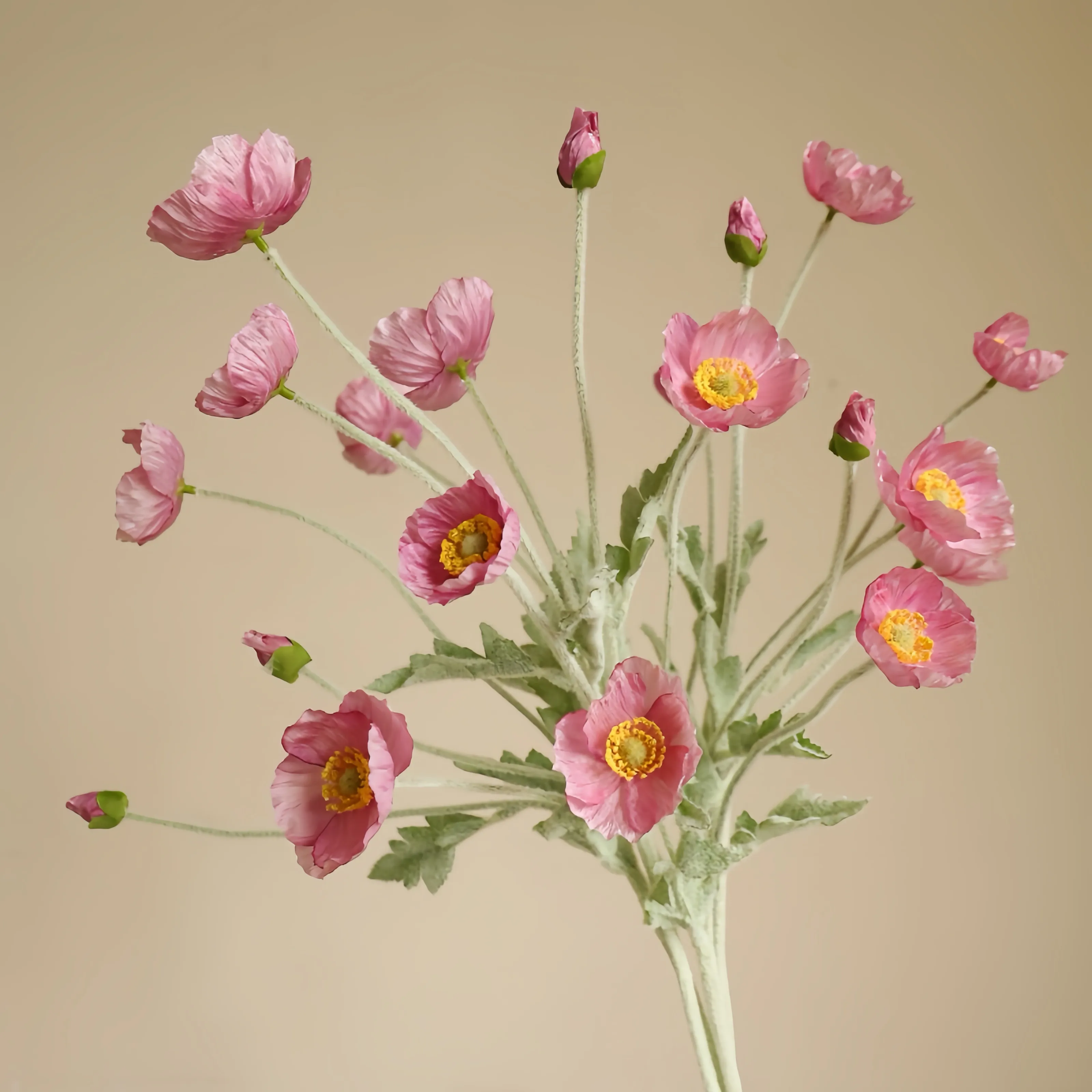 Composizione fiore di papavero in finto gregge
