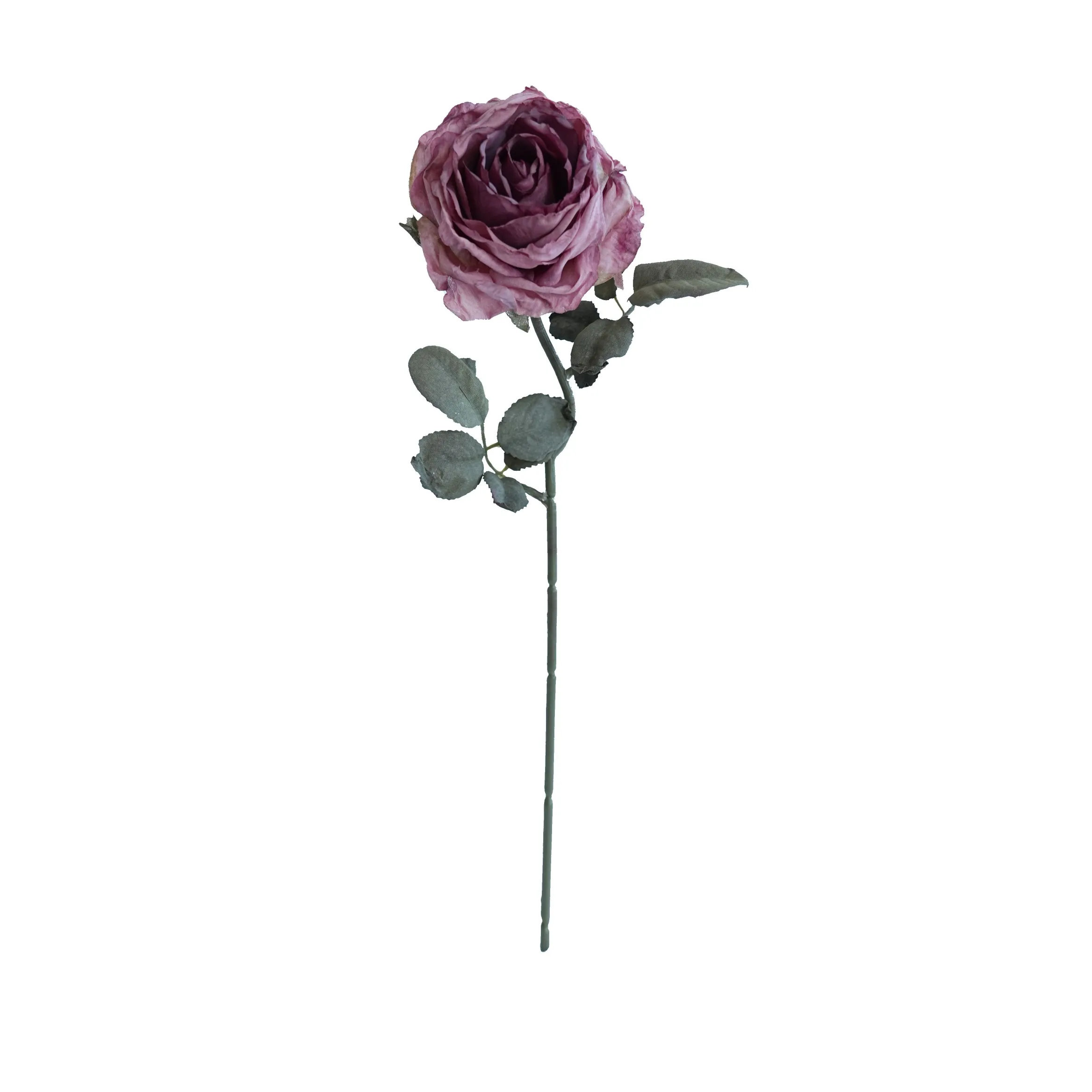 Rose multistrato confine di sughero