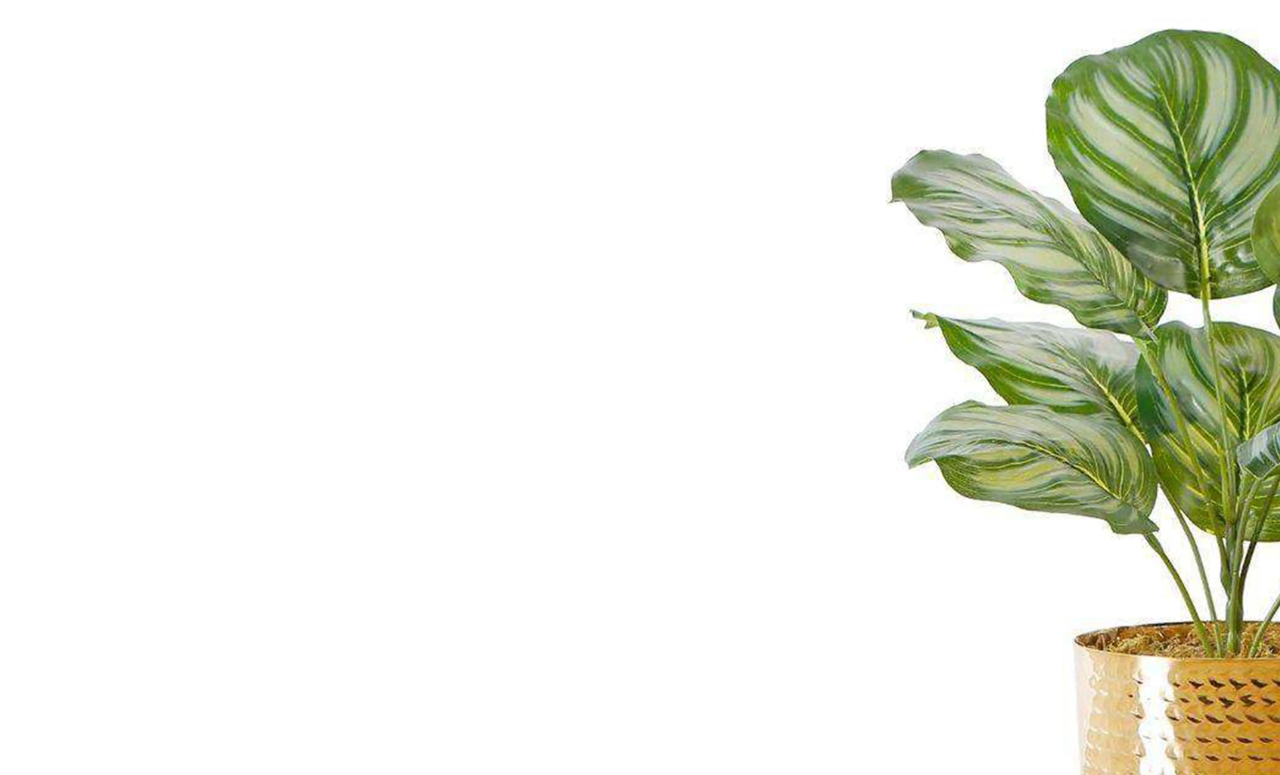 Pianta verde artificiale