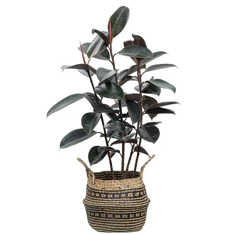 Pianta in vaso in gomma artificiale
