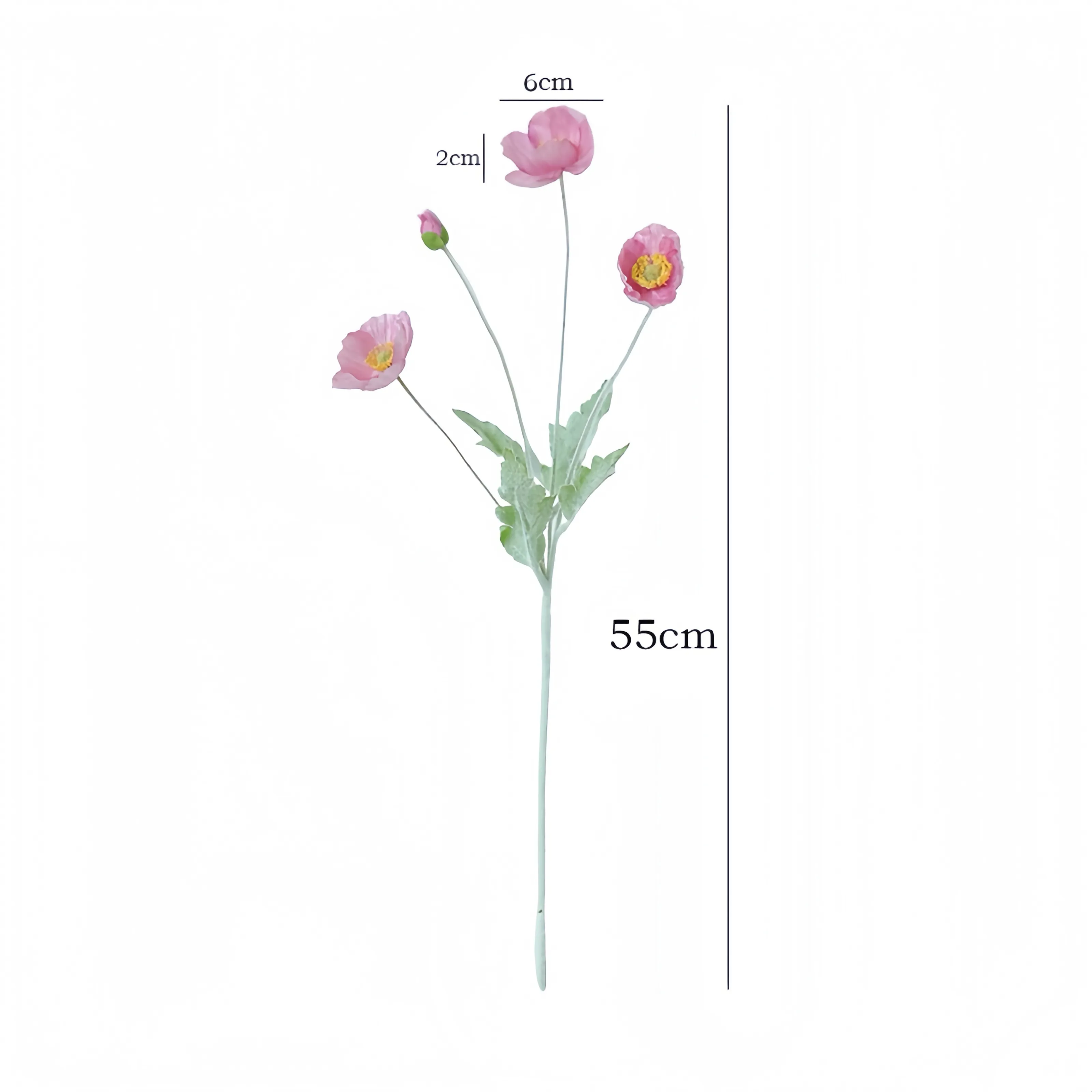 Composizione fiore di papavero in finto gregge