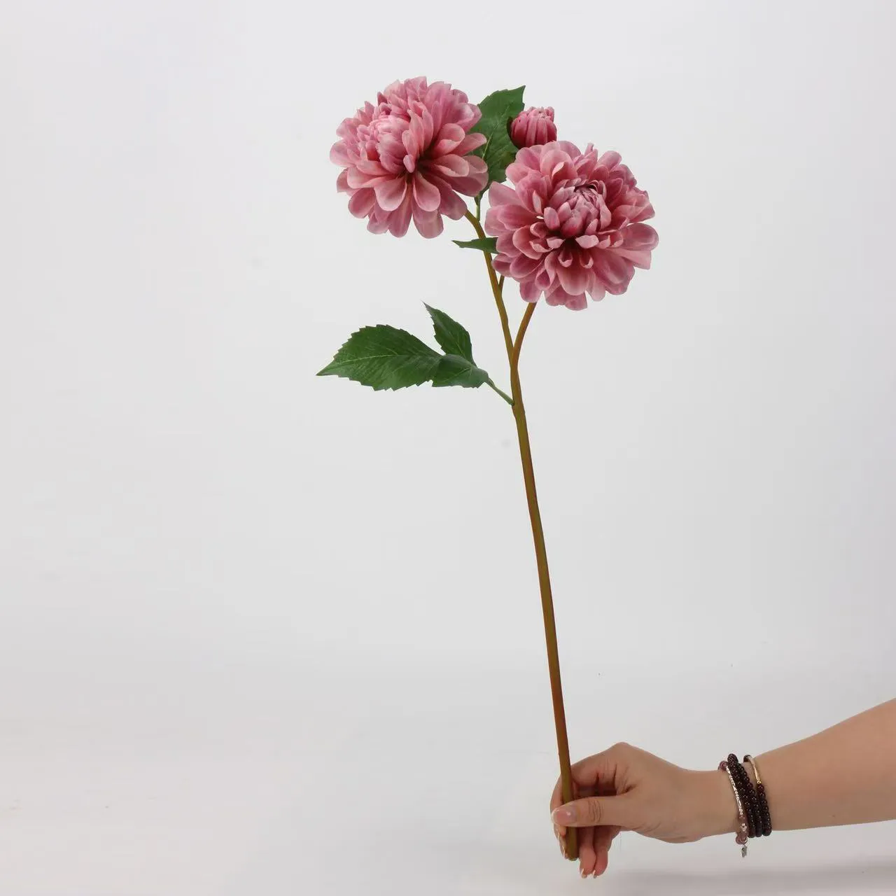 Dalia