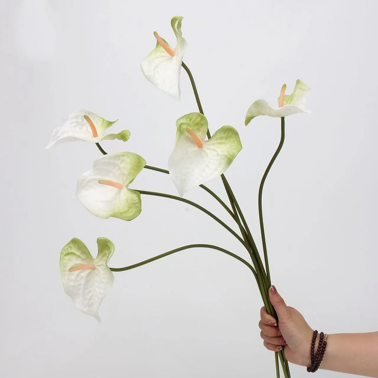 palma di anthurium