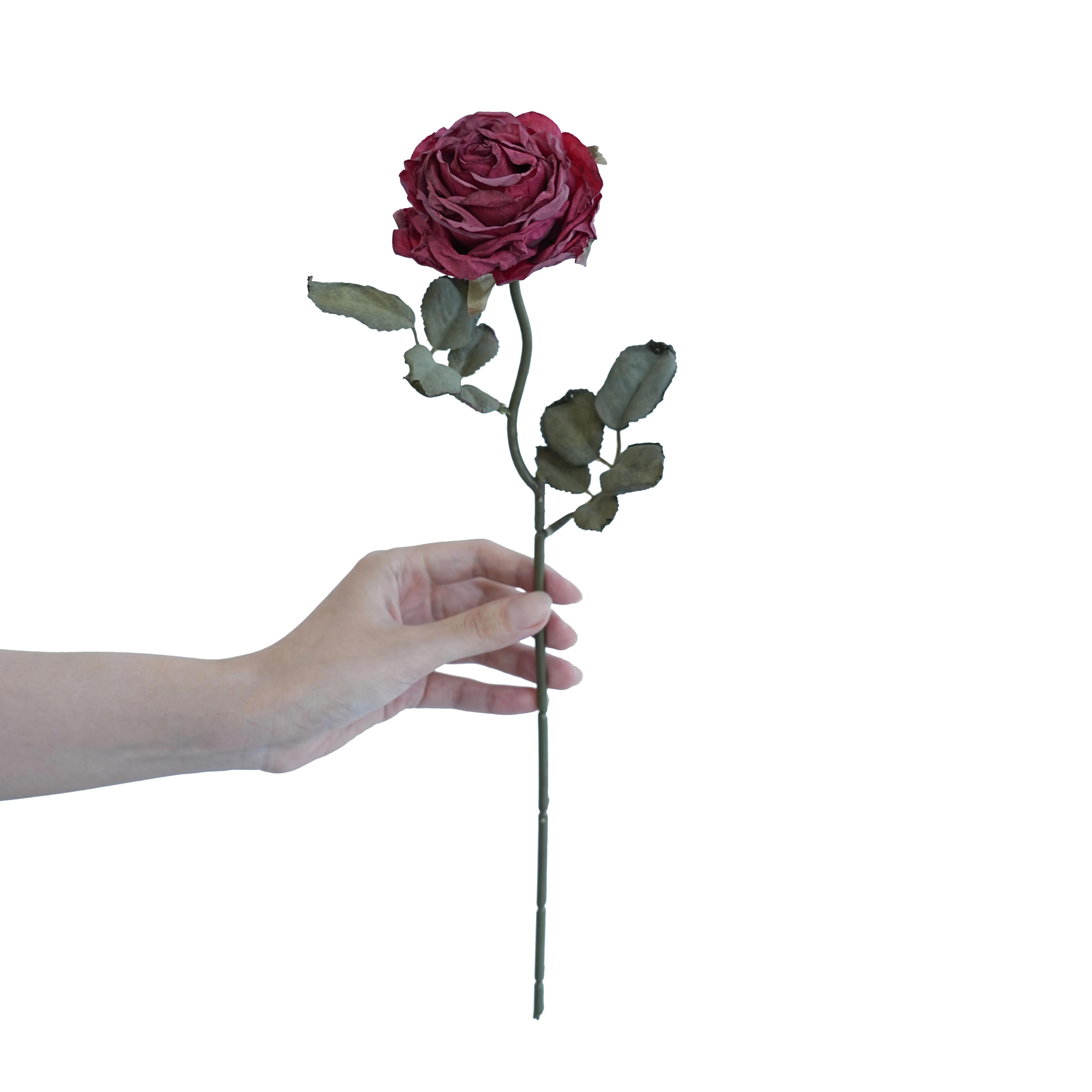 Rose multistrato confine di sughero