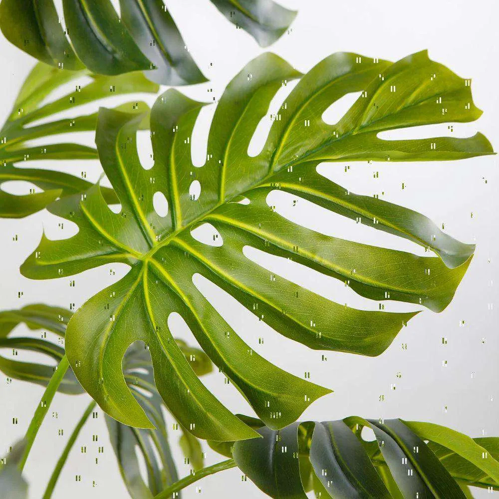 Pianta in vaso di monstera artificiali senior (dimensioni multiple）