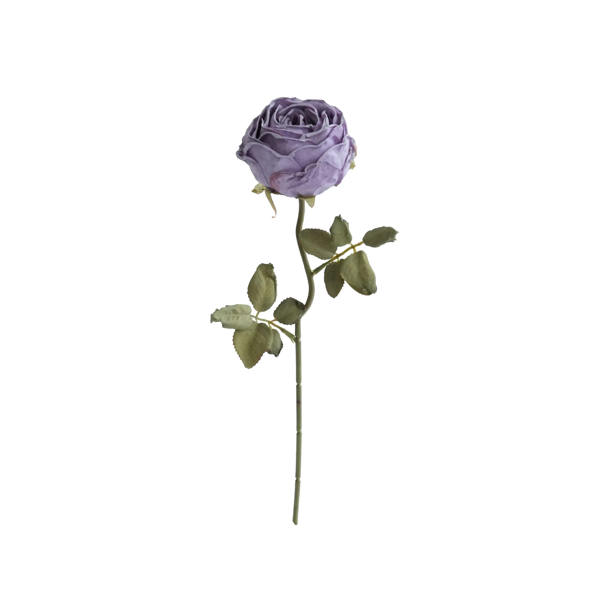 Rose rotonde tritate