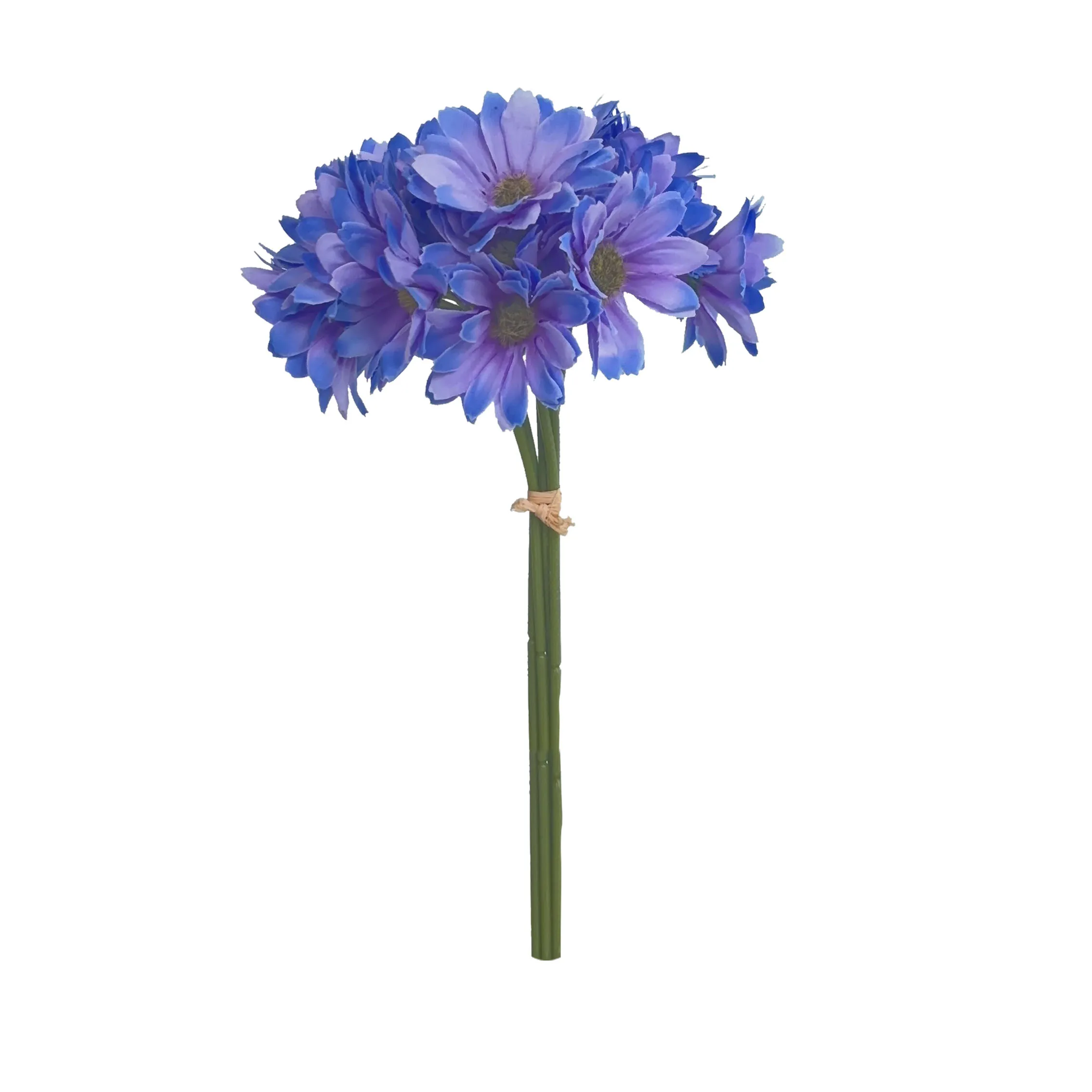 Prendi un sacco di girasoli