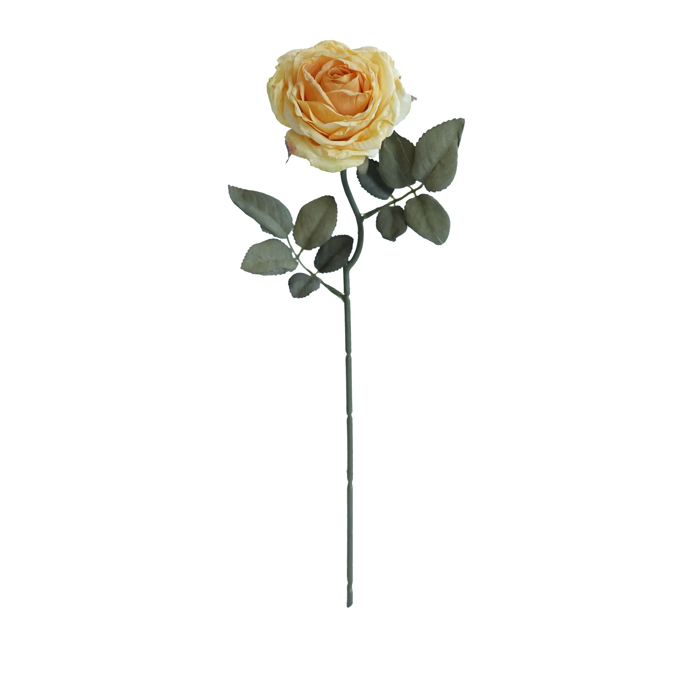 Rose multistrato confine di sughero