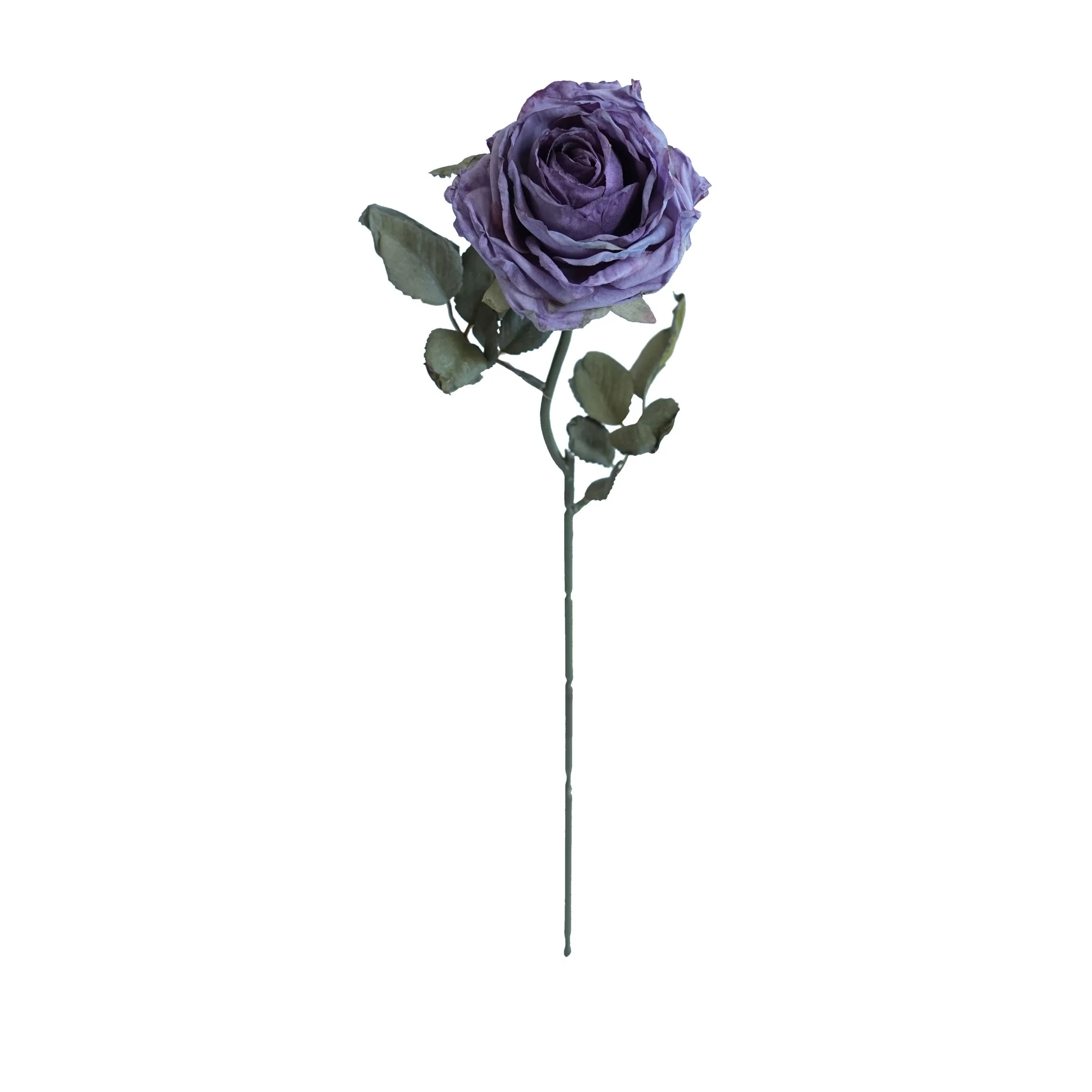 Rose multistrato confine di sughero