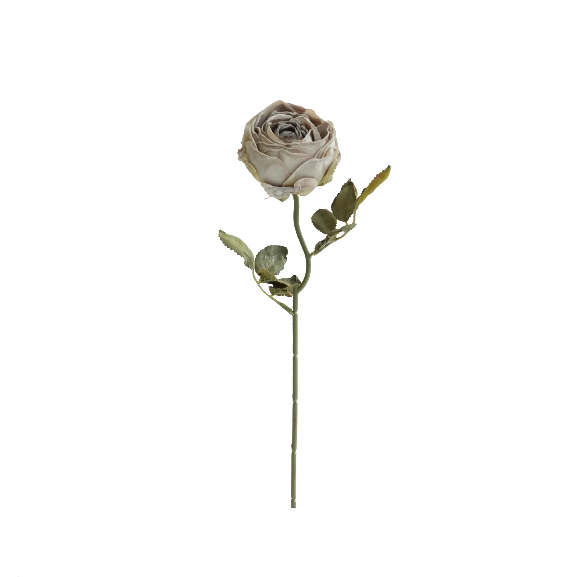 Rose rotonde tritate