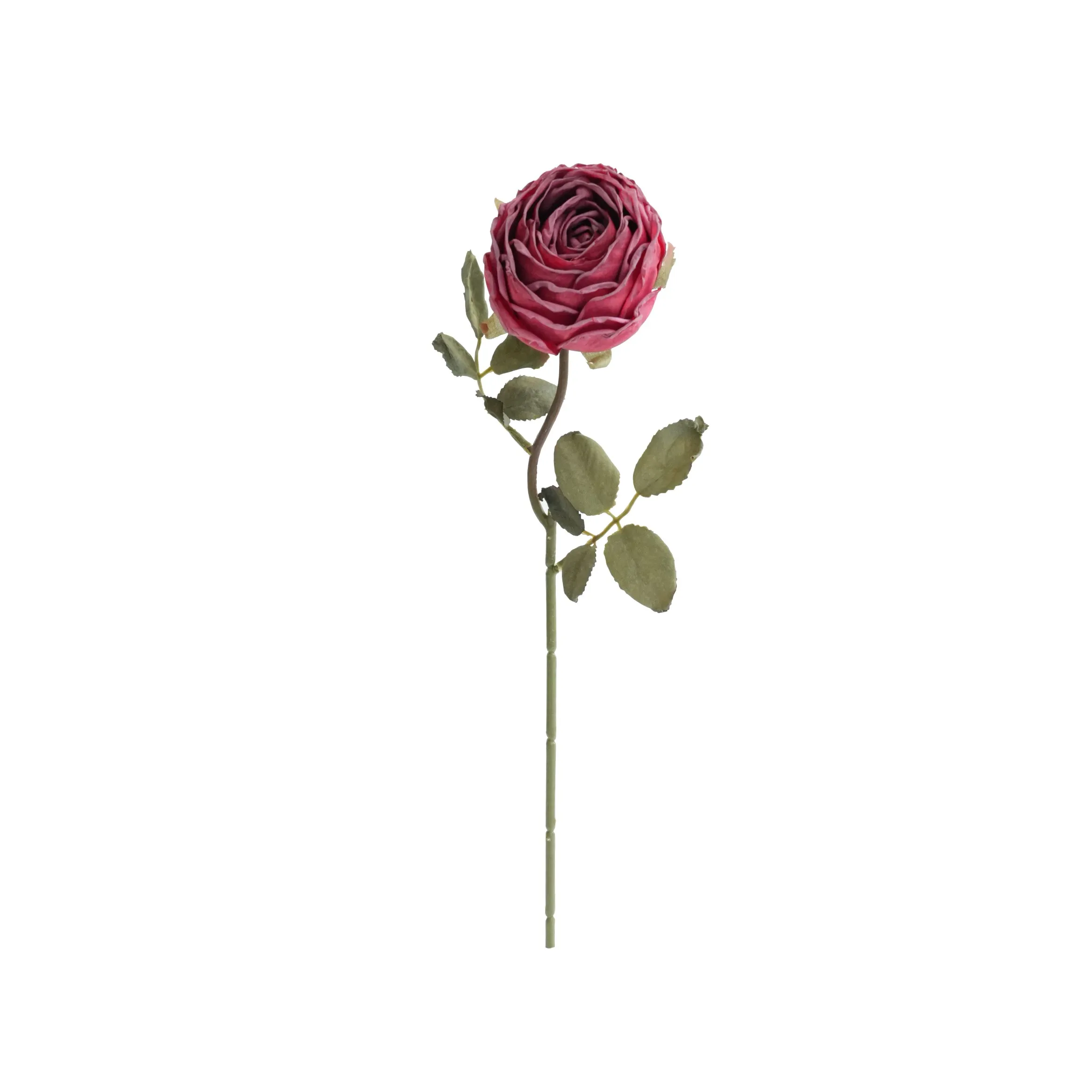 Rose rotonde tritate
