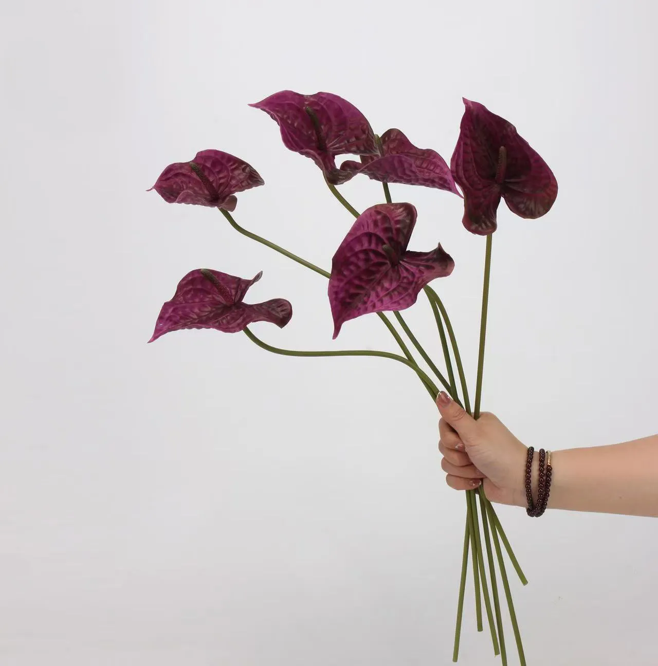palma di anthurium