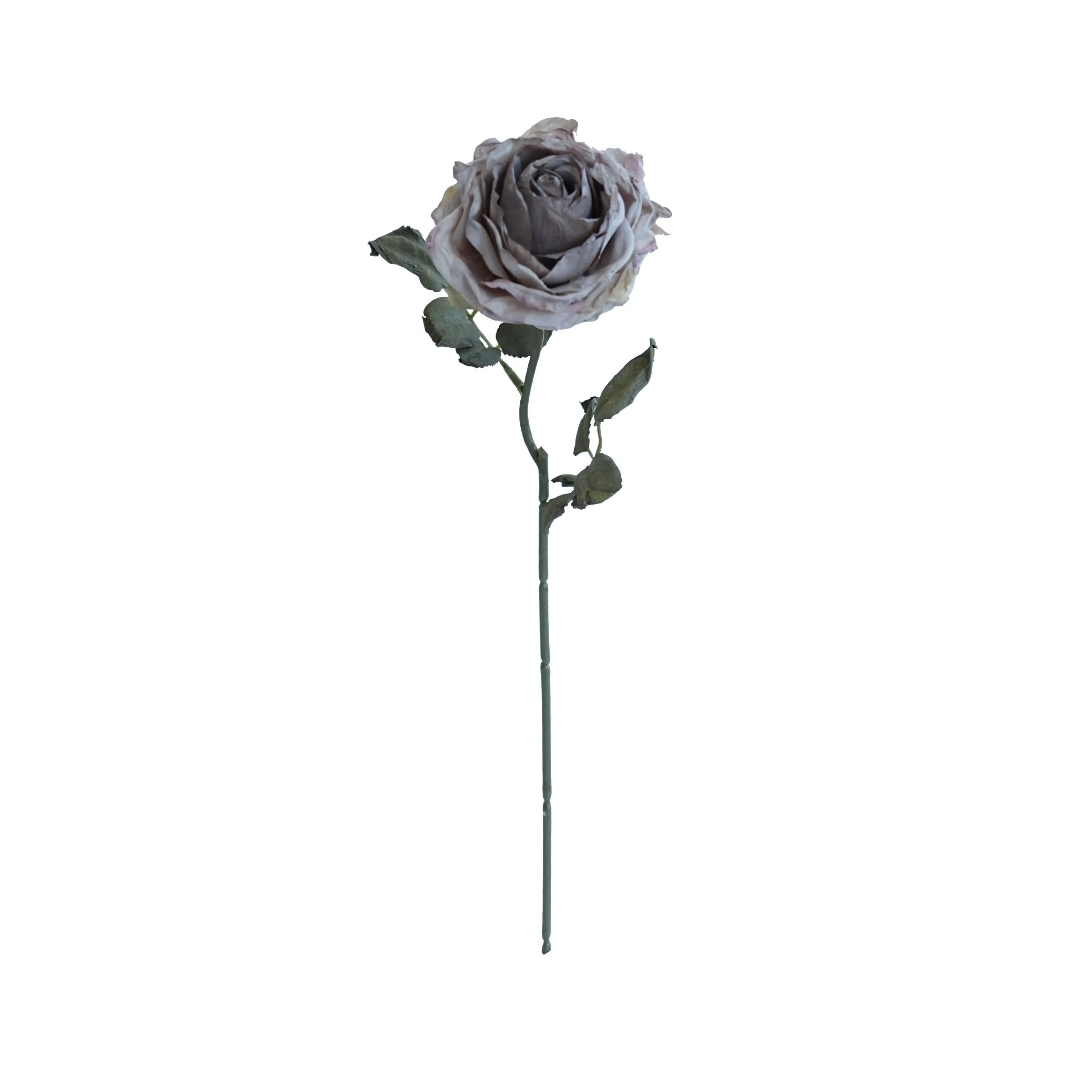 Rose multistrato confine di sughero