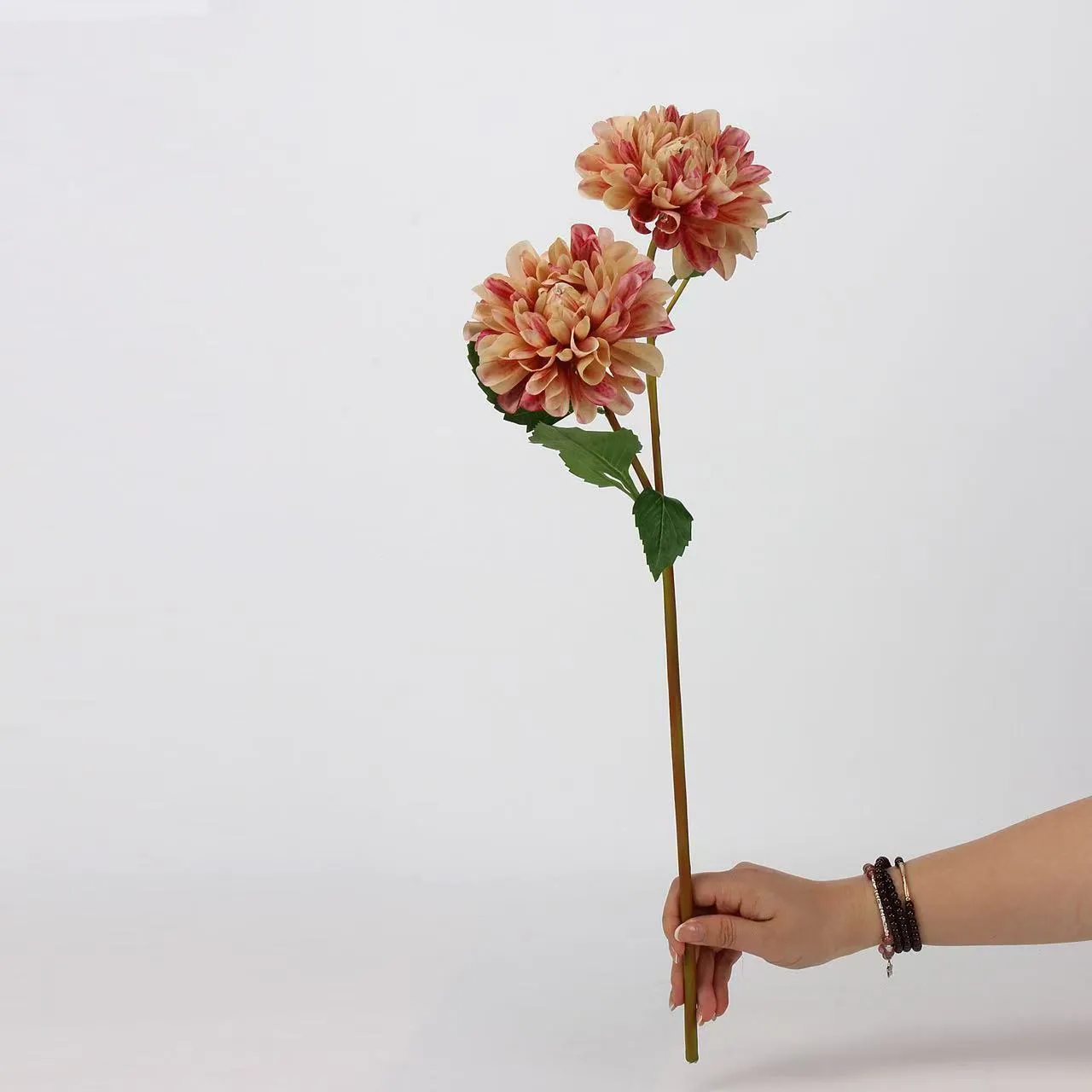 Dalia