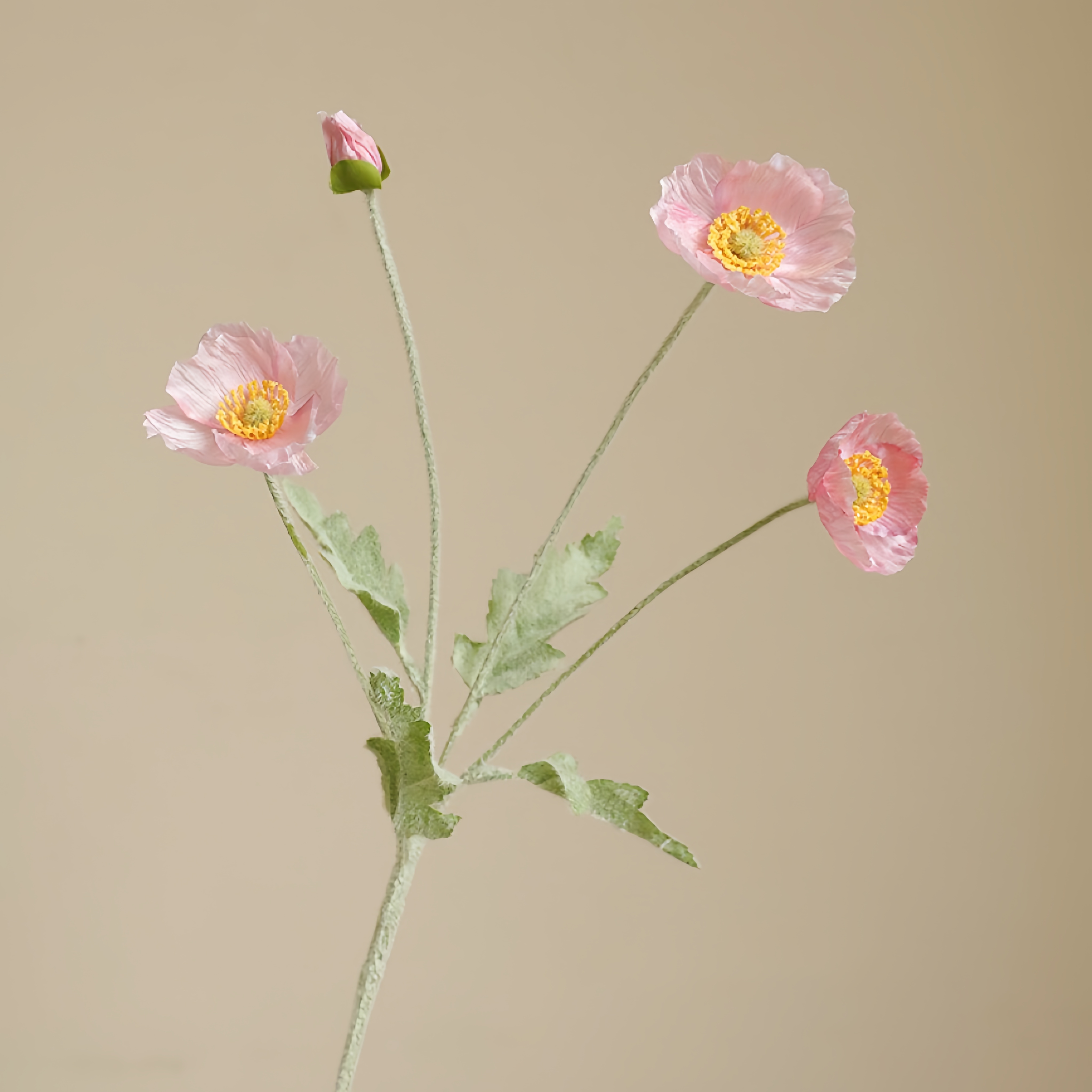 Composizione fiore di papavero in finto gregge