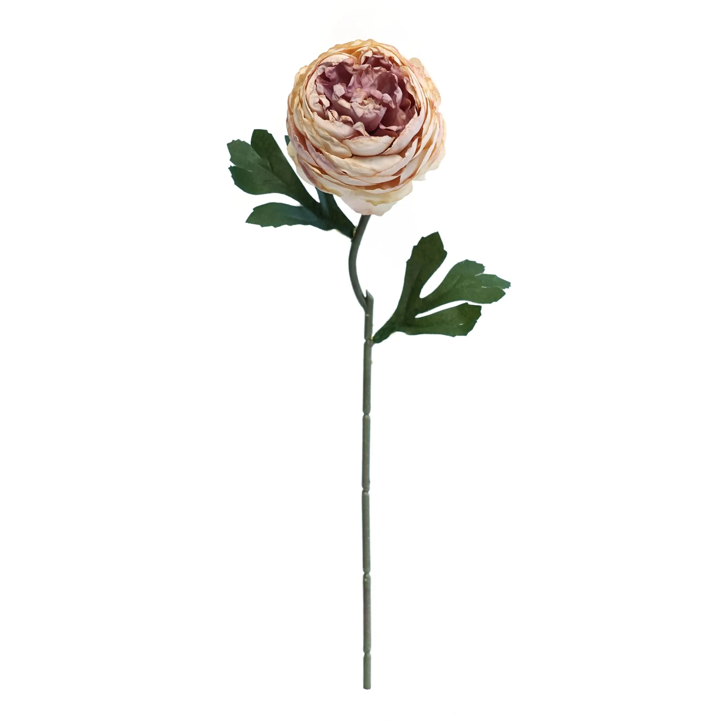 Pugne da tè tritate