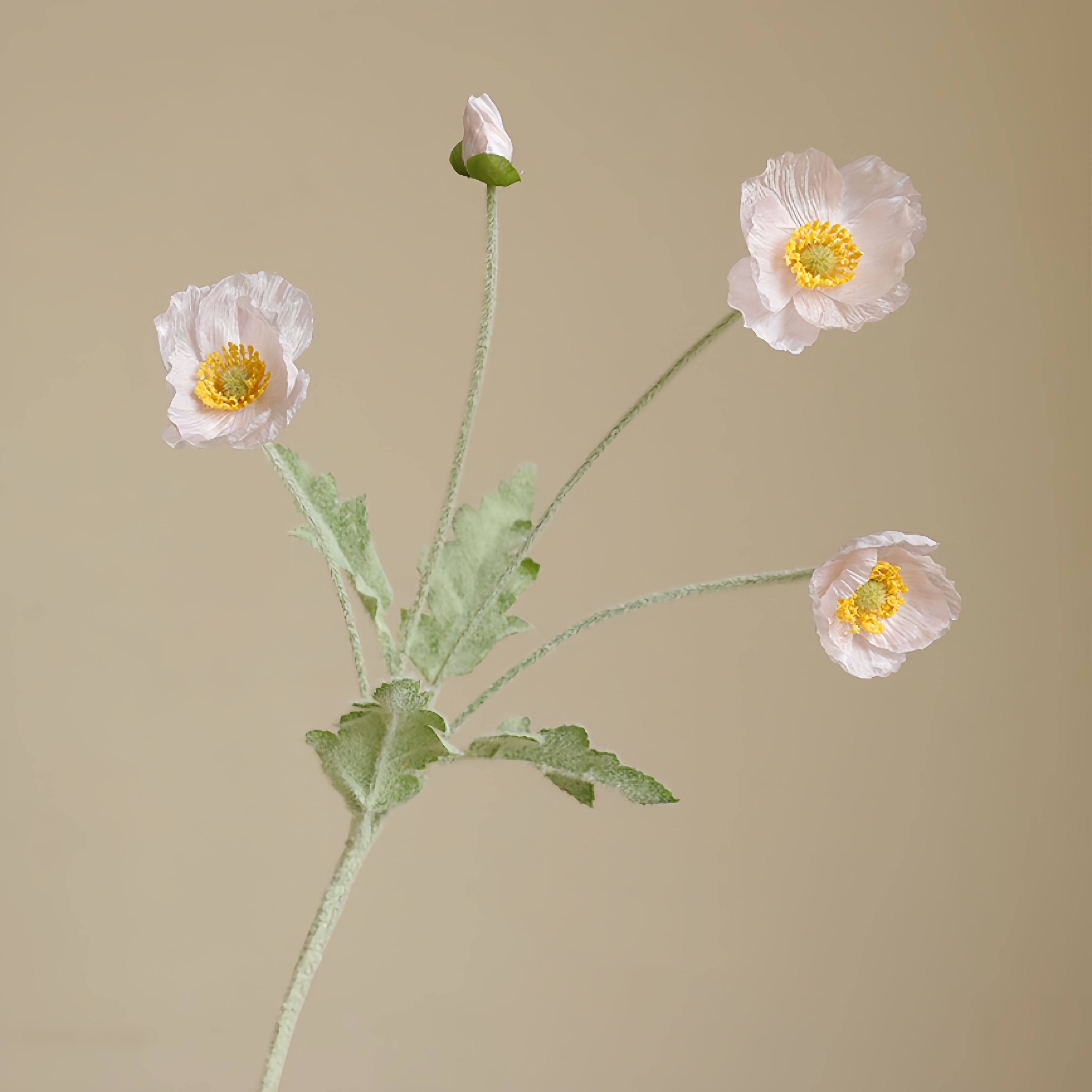 Composizione fiore di papavero in finto gregge