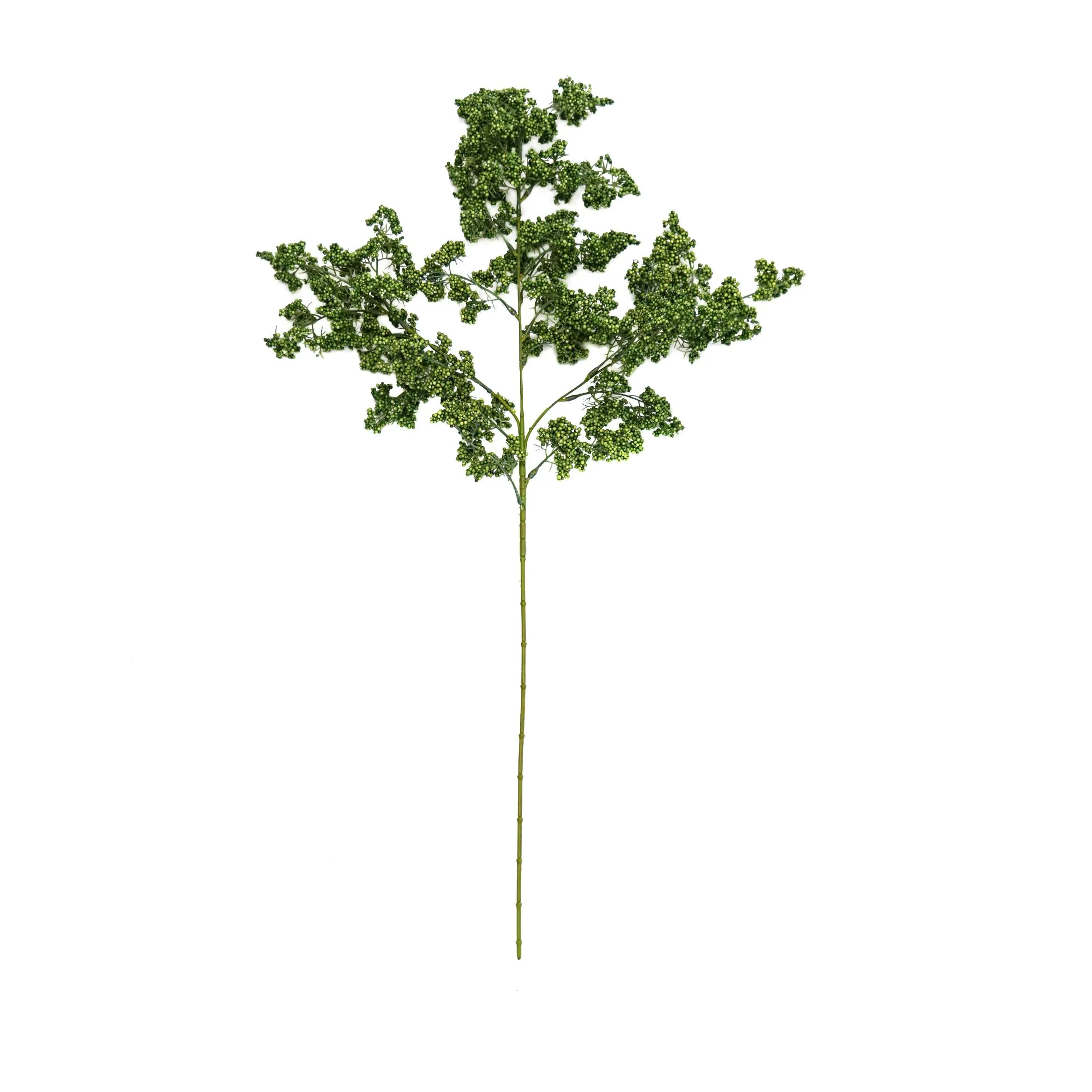 Una singola frutta verde invernale