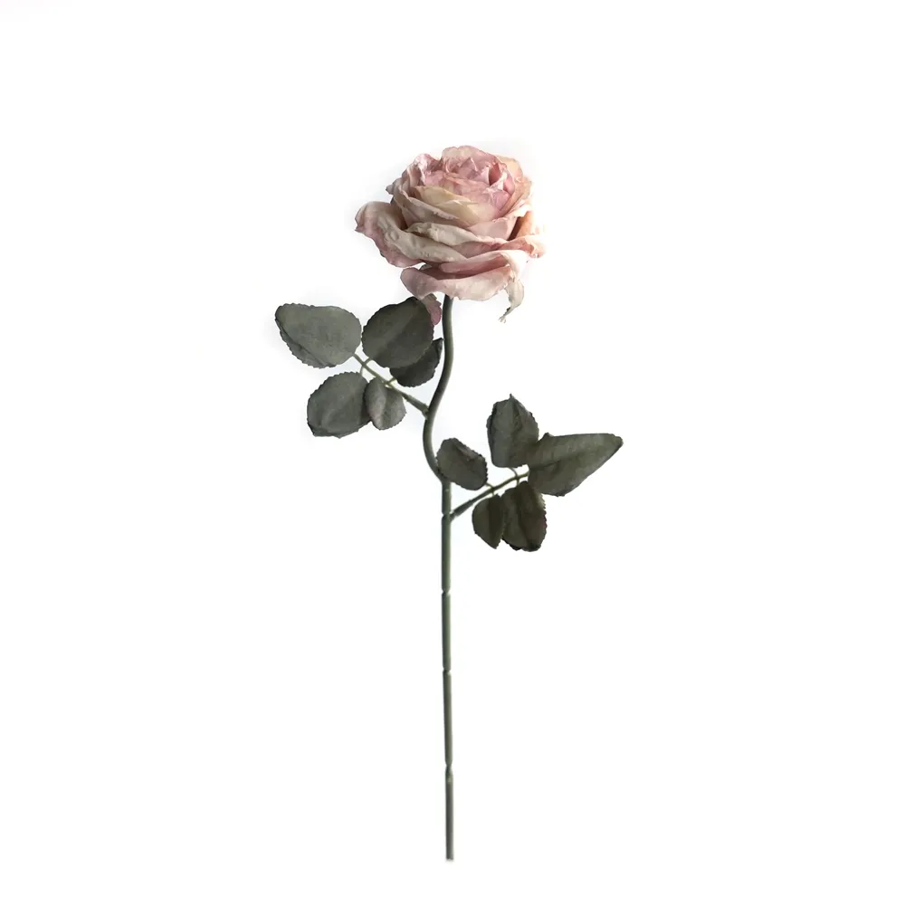Rose multistrato confine di sughero