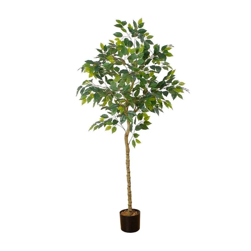 Pianta in vaso artificiale per ficus (dimensioni multiple)