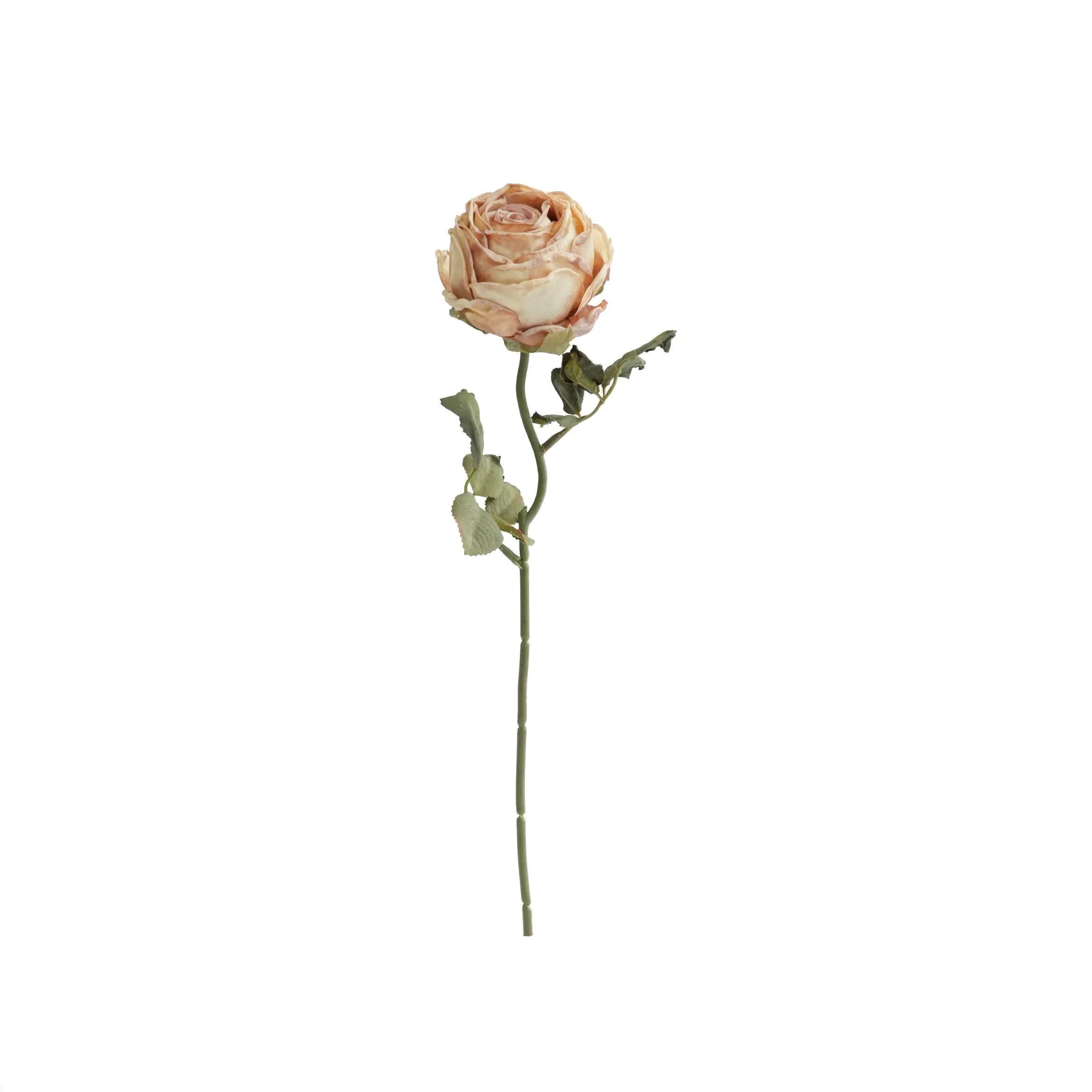 Rose rotonde tritate