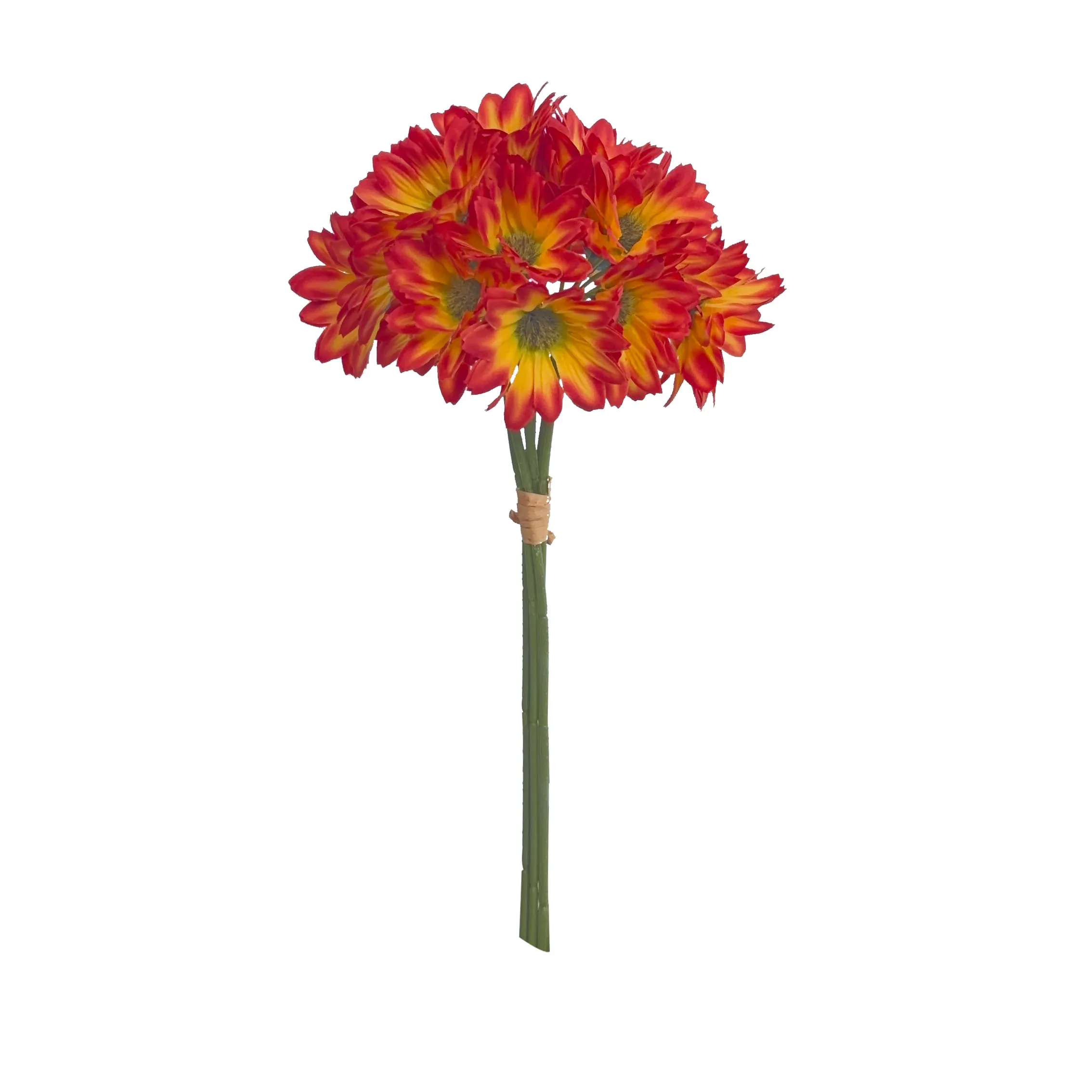 Prendi un sacco di girasoli