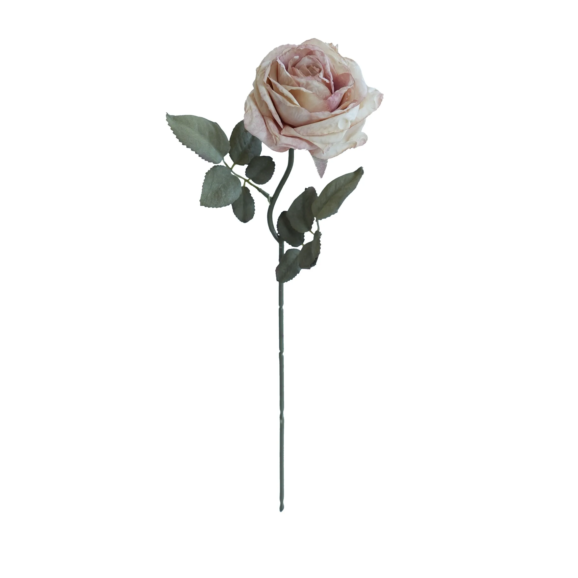 Rose multistrato confine di sughero