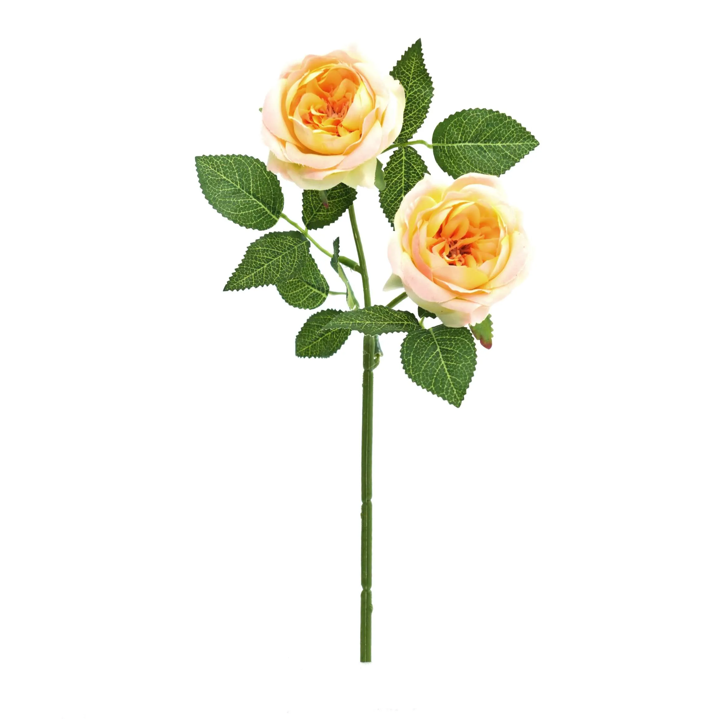 2 rose
