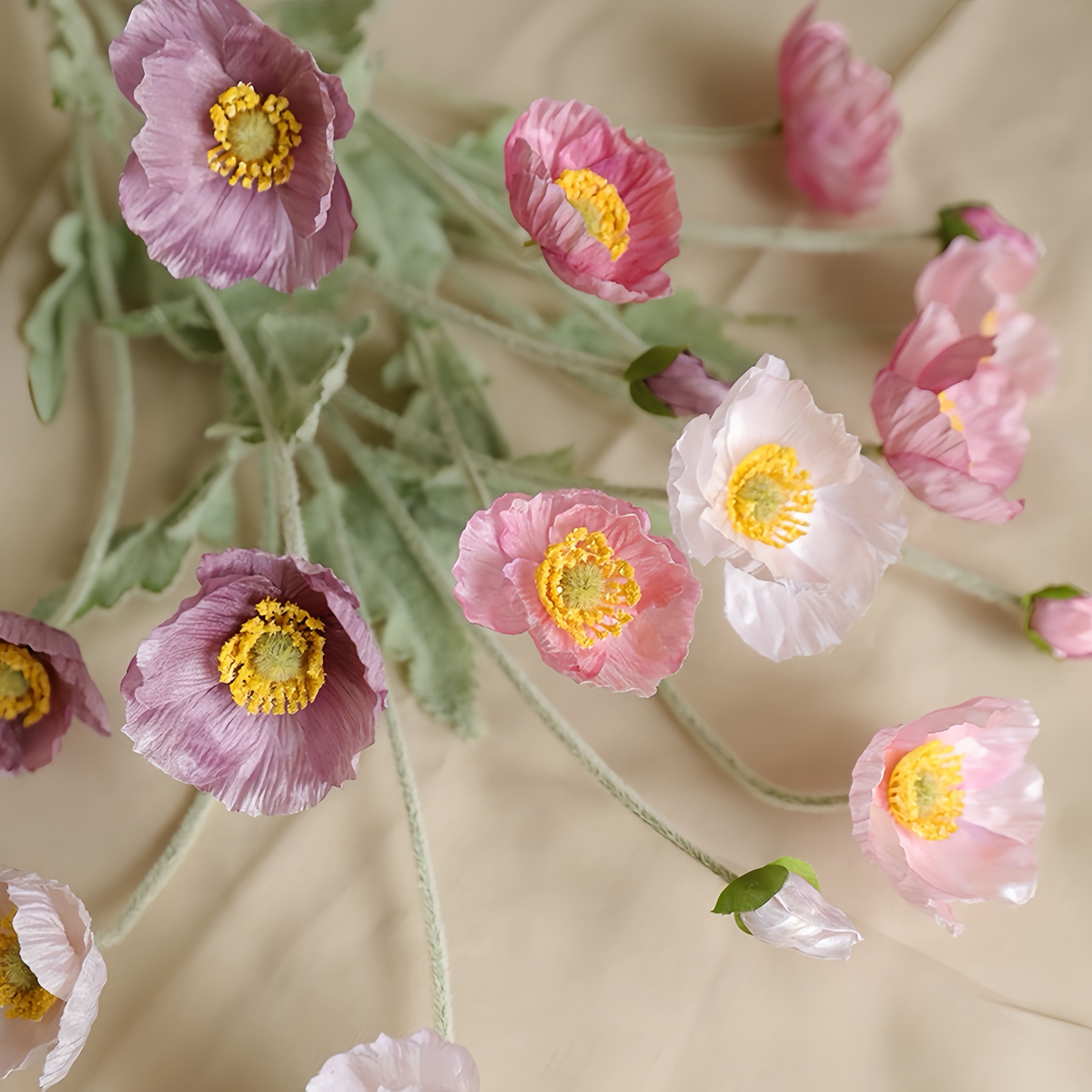 Composizione fiore di papavero in finto gregge