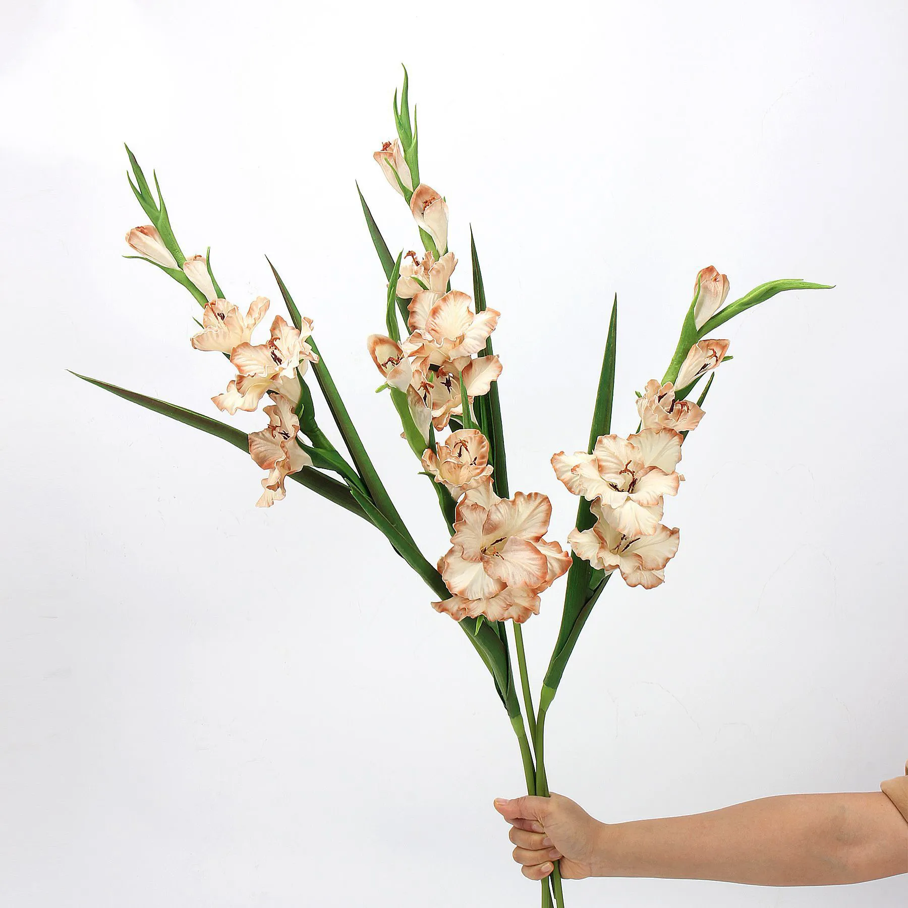 Presentazione: quali fiori di simulazione usano le migliori celebrità di Internet nelle loro case?