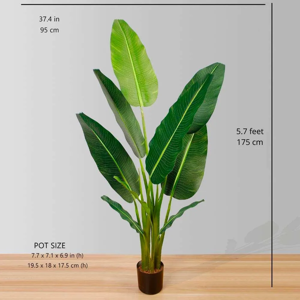 Viaggiatori artificiali Palm Palm Picked Plant
