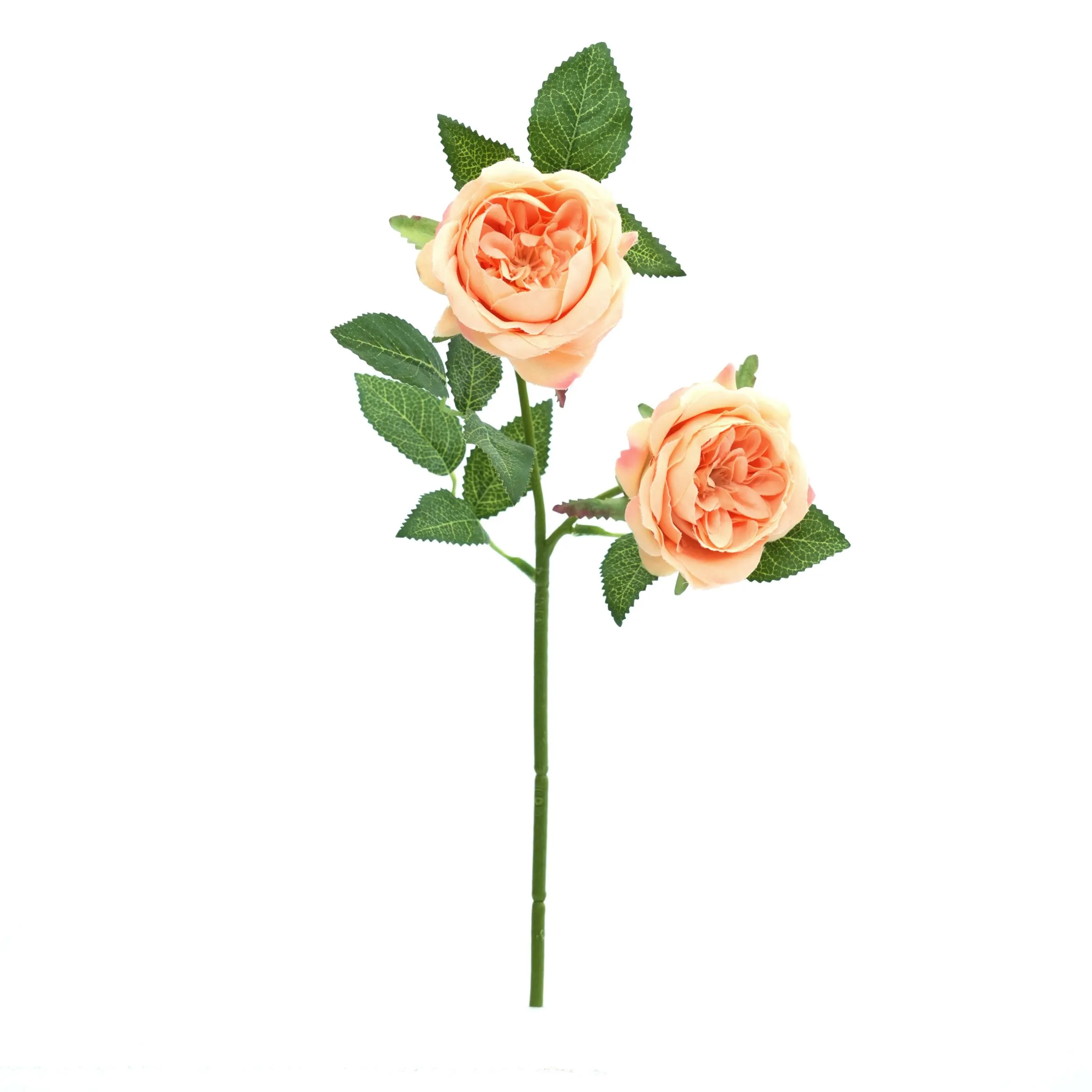 2 rose