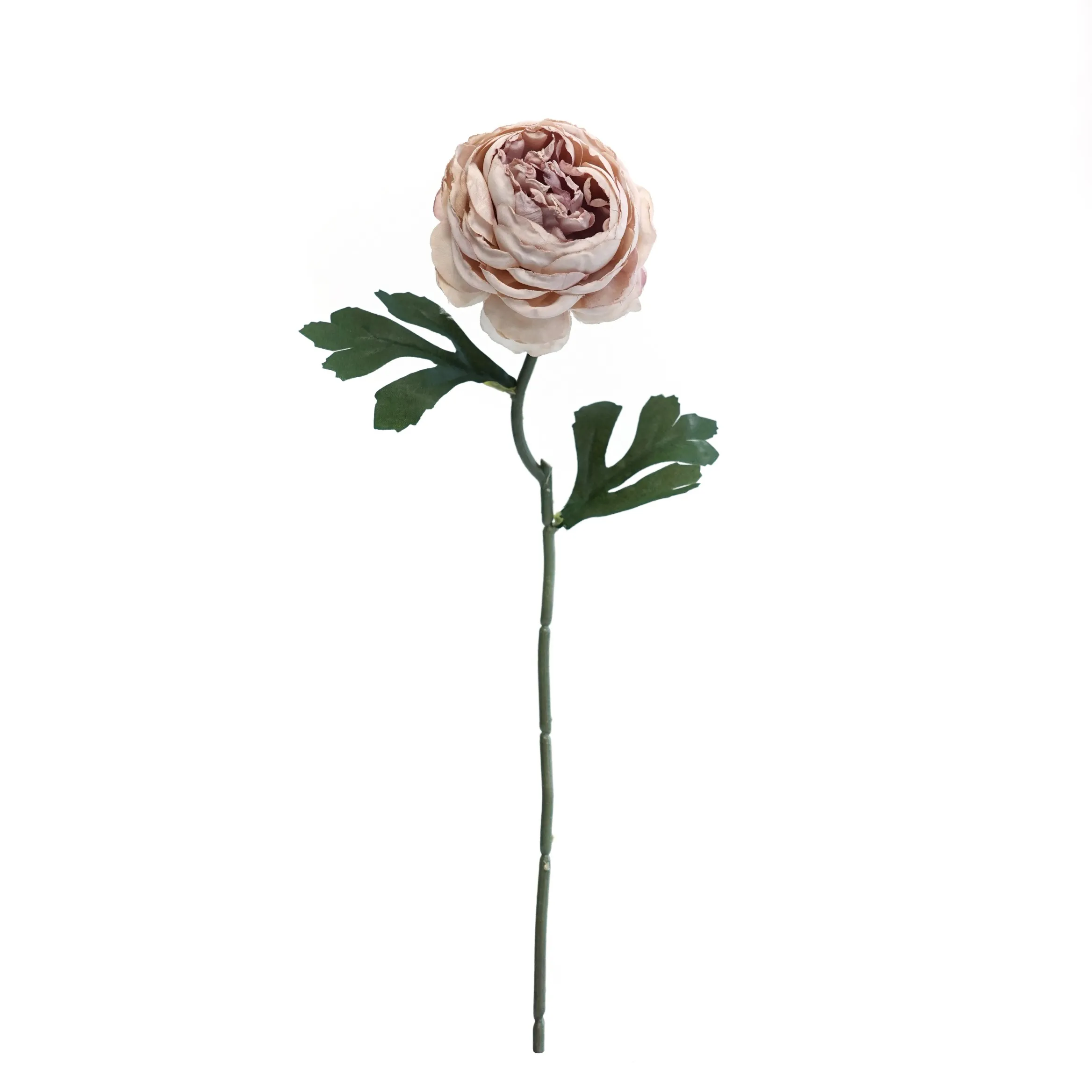 Pugne da tè tritate