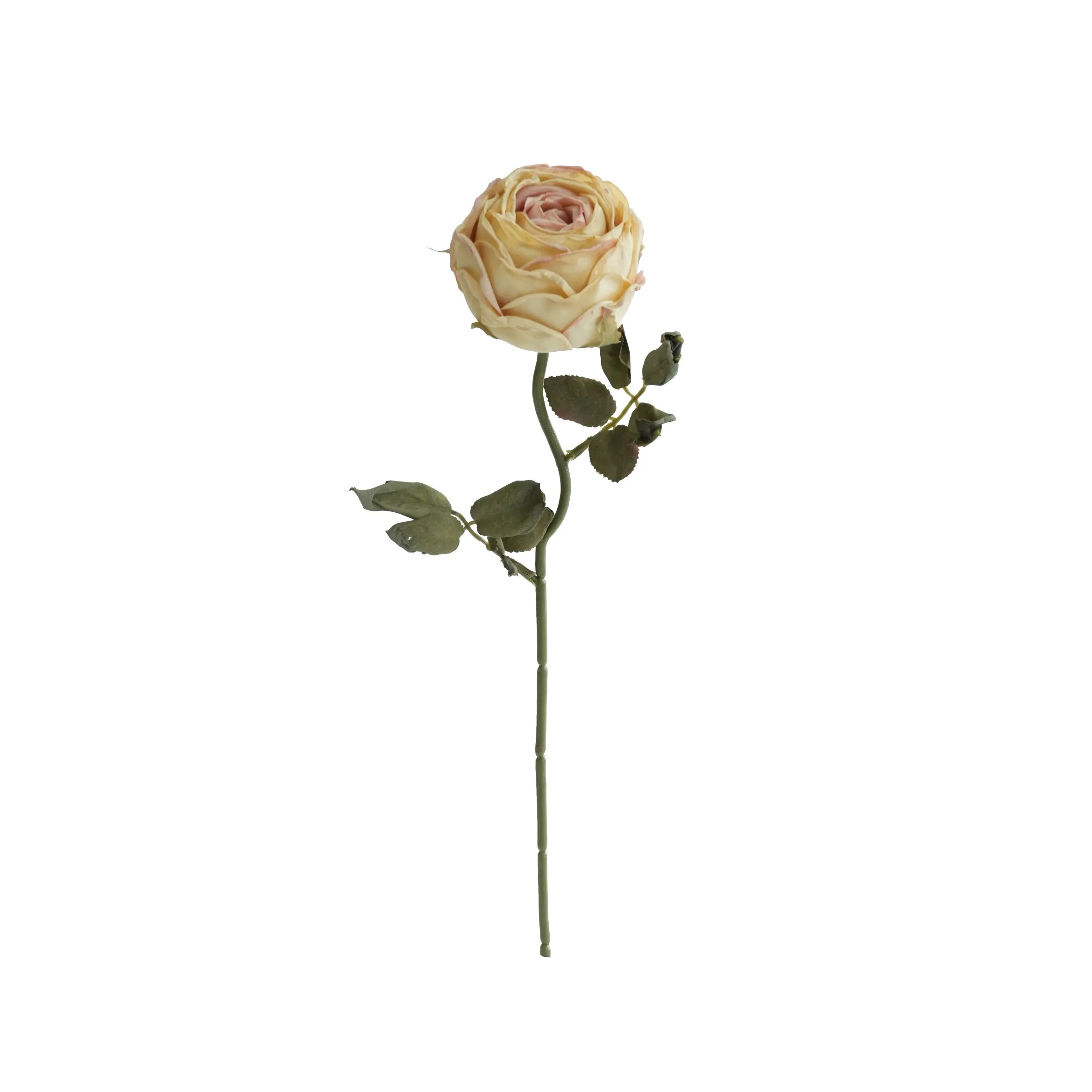 Rose rotonde tritate