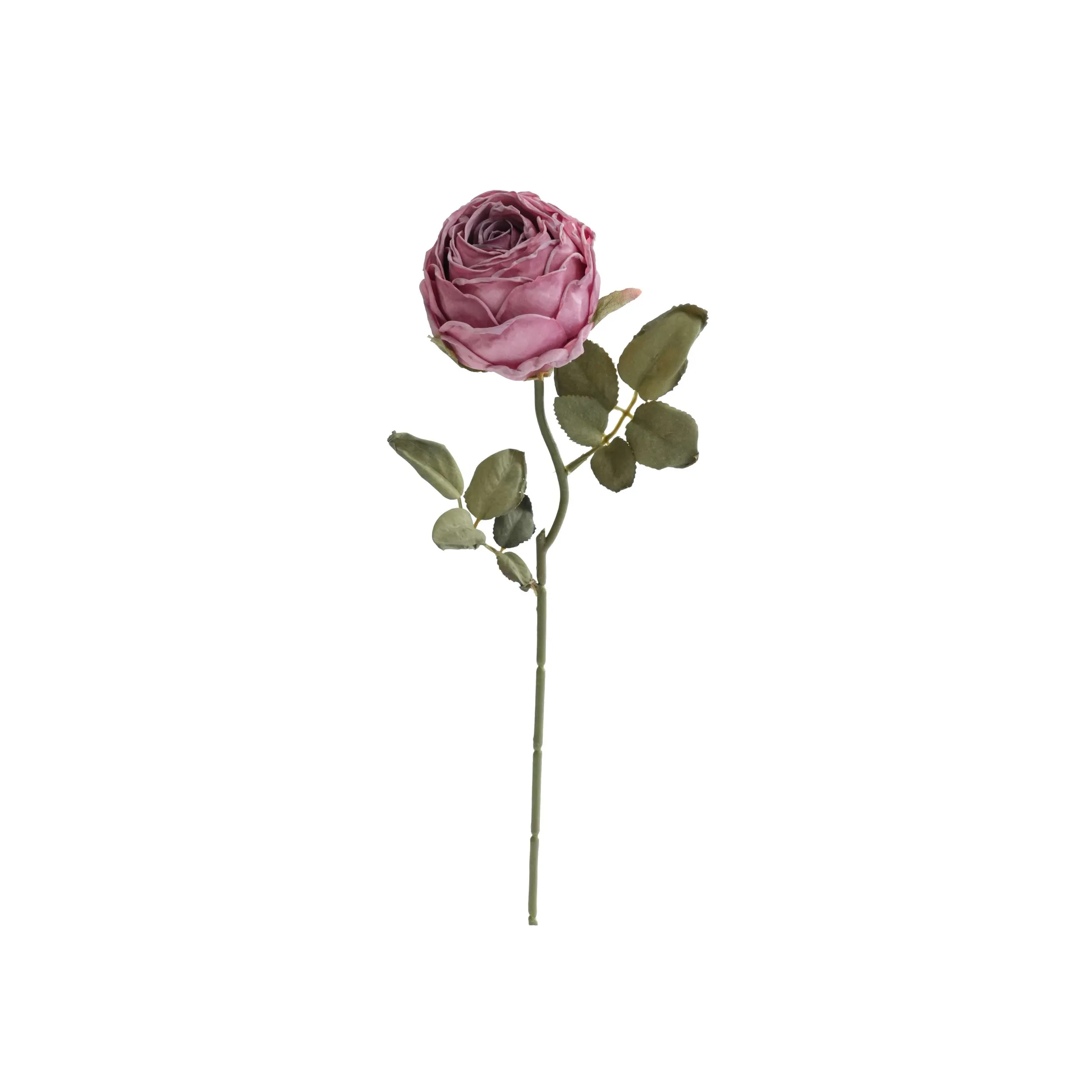 Rose rotonde tritate