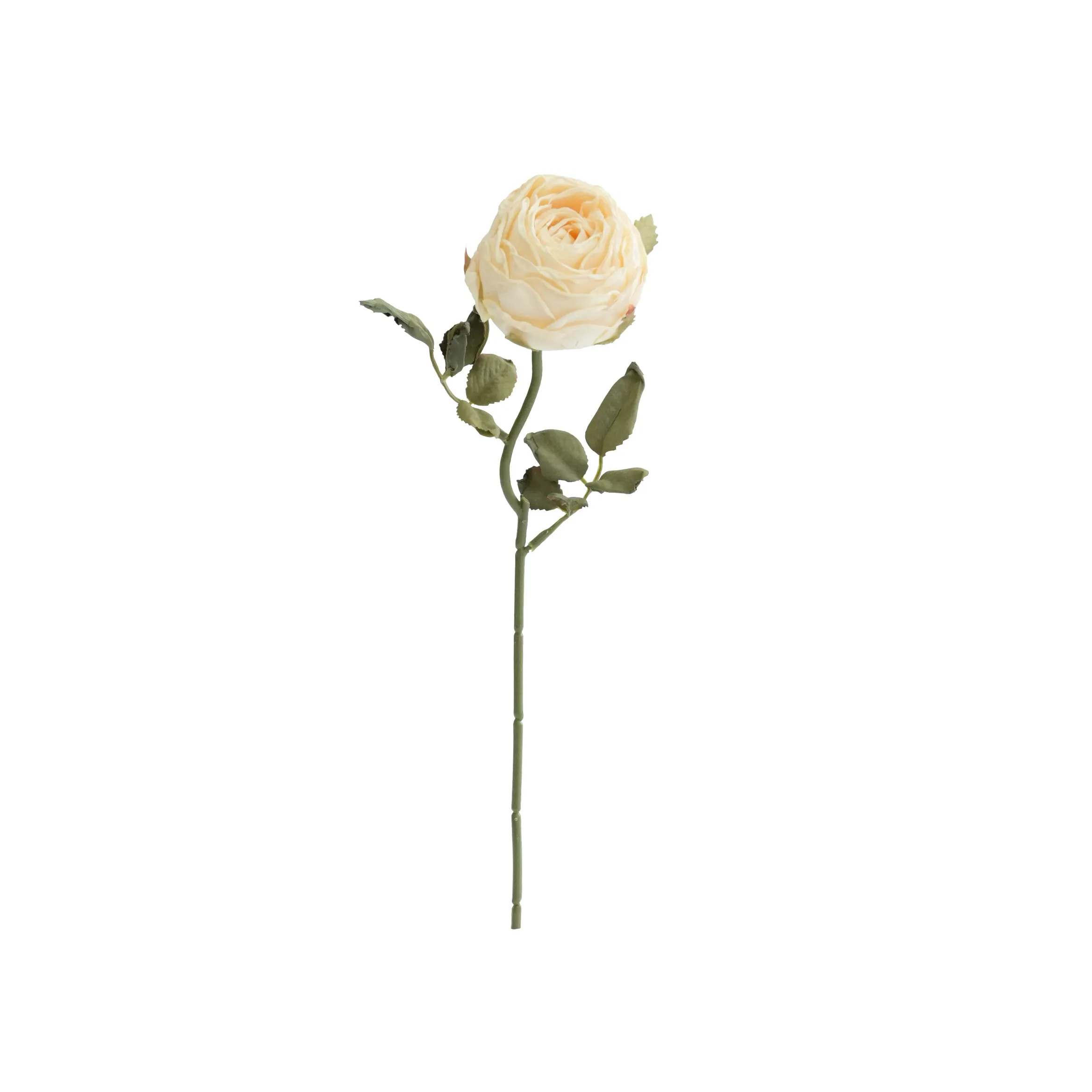 Rose rotonde tritate