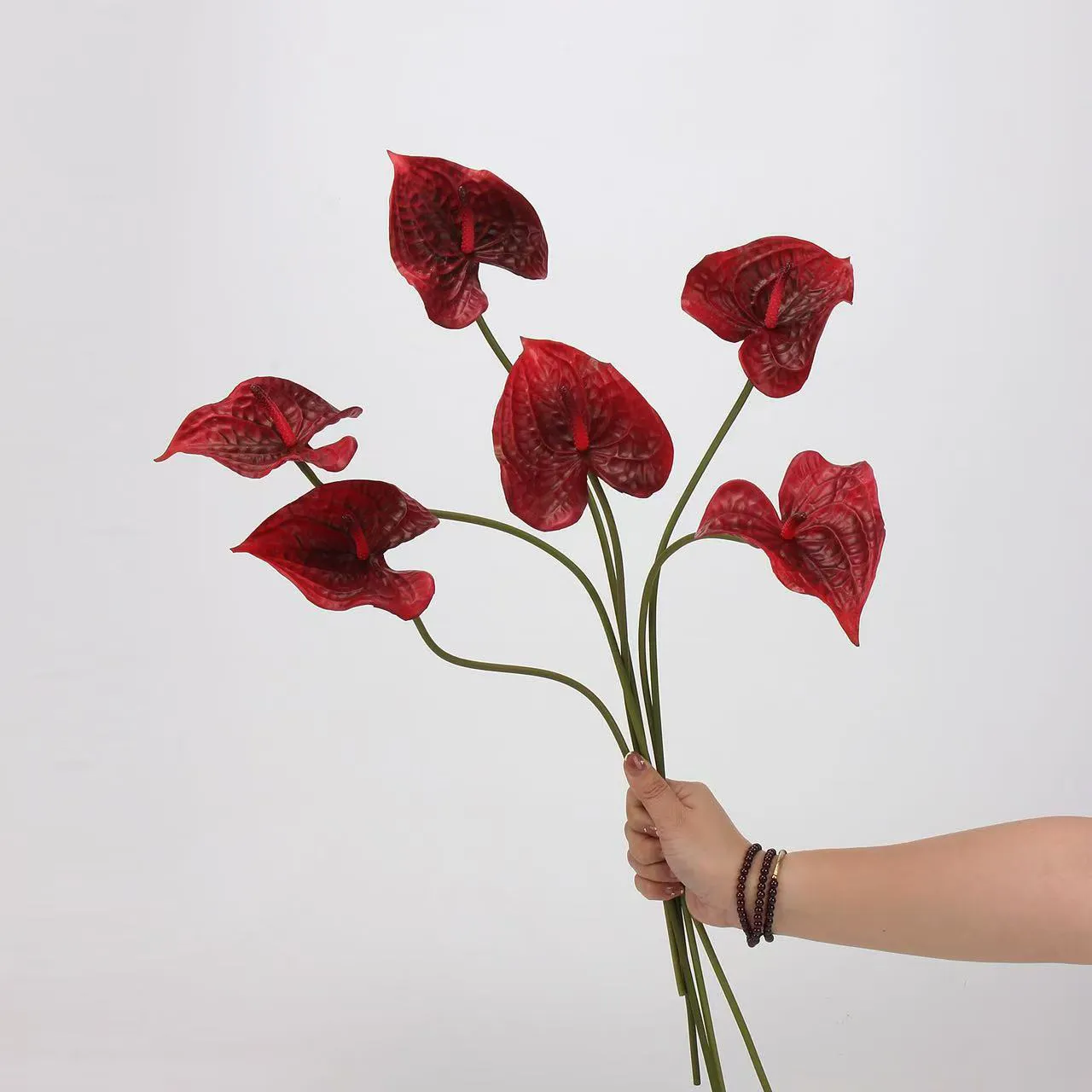 palma di anthurium
