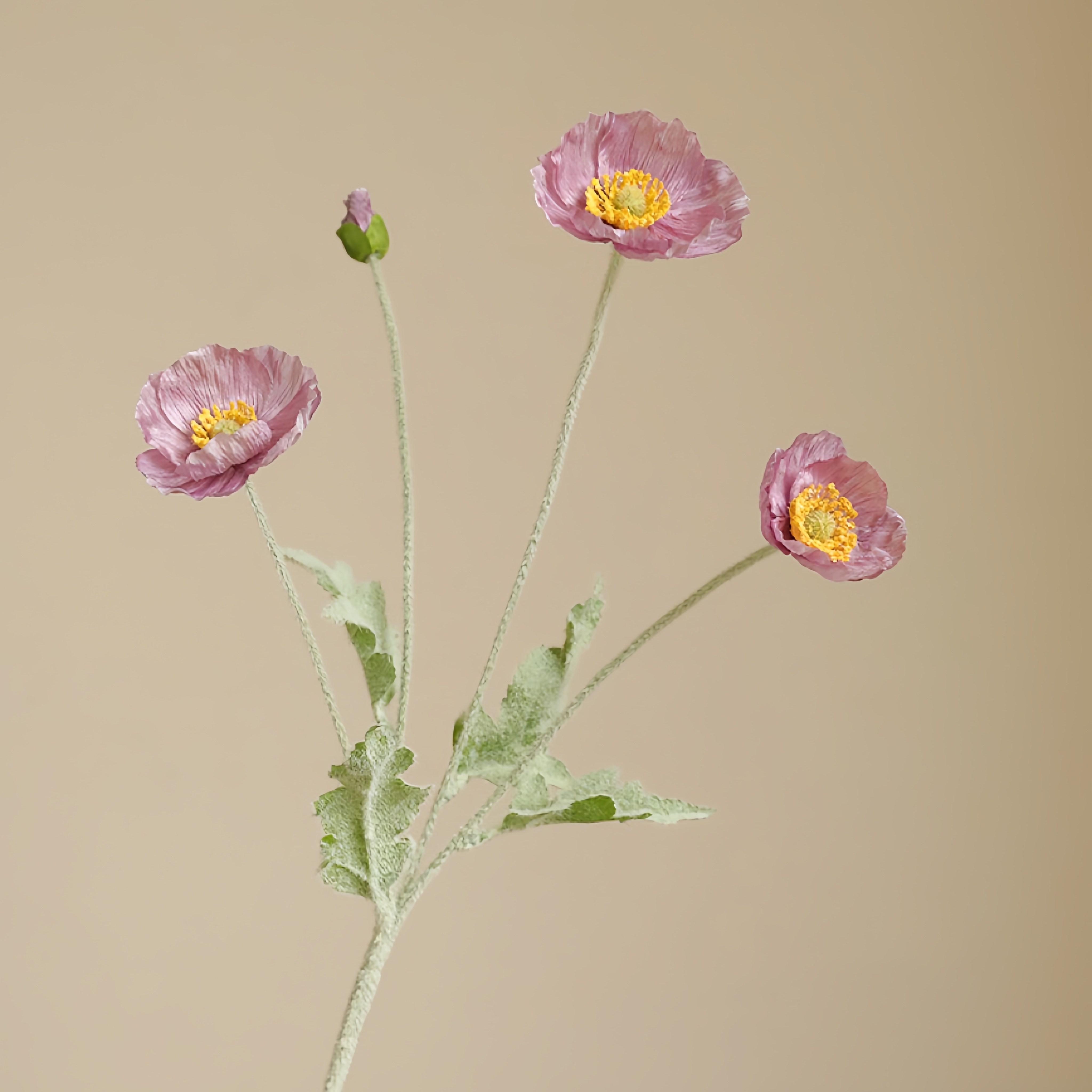Composizione fiore di papavero in finto gregge