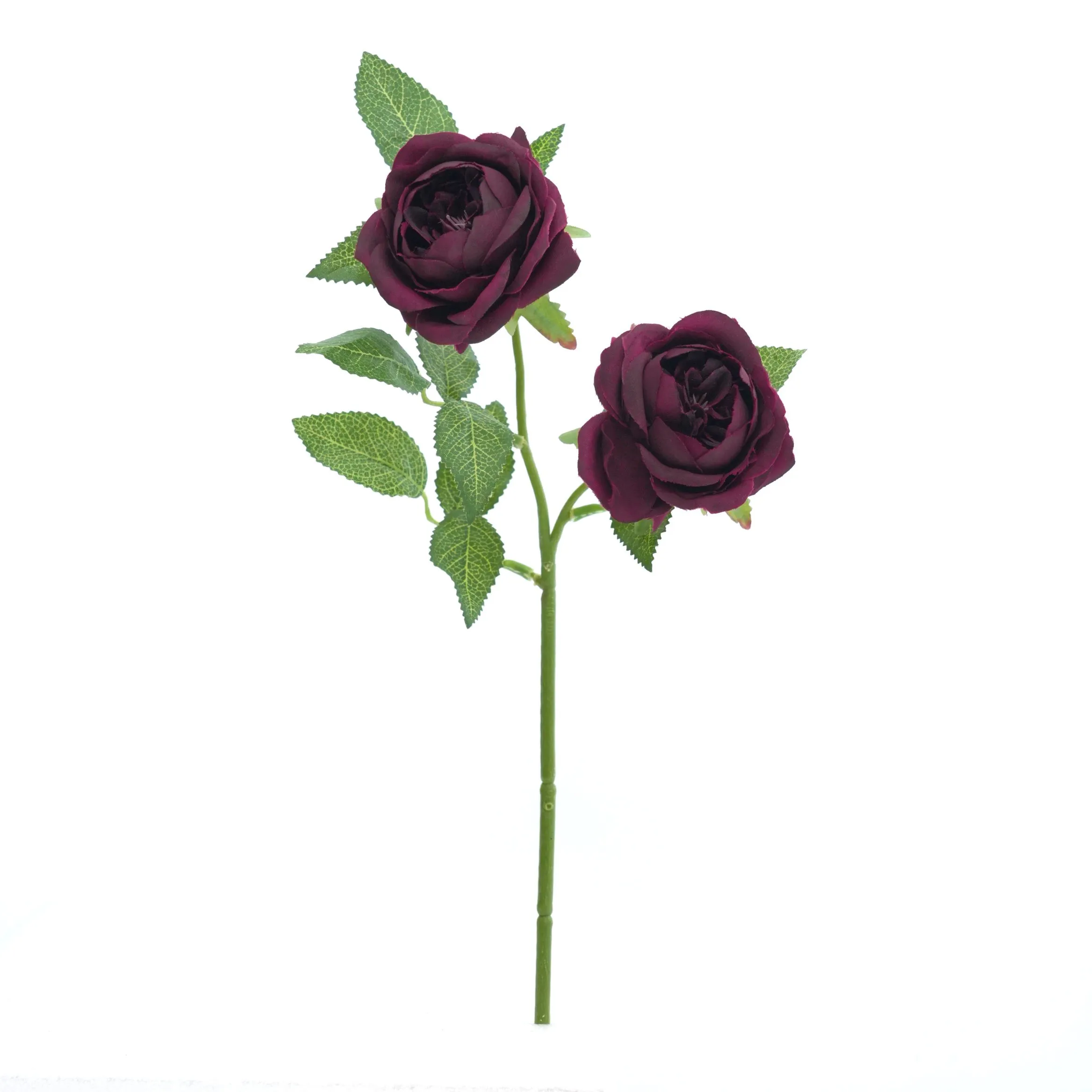 2 rose