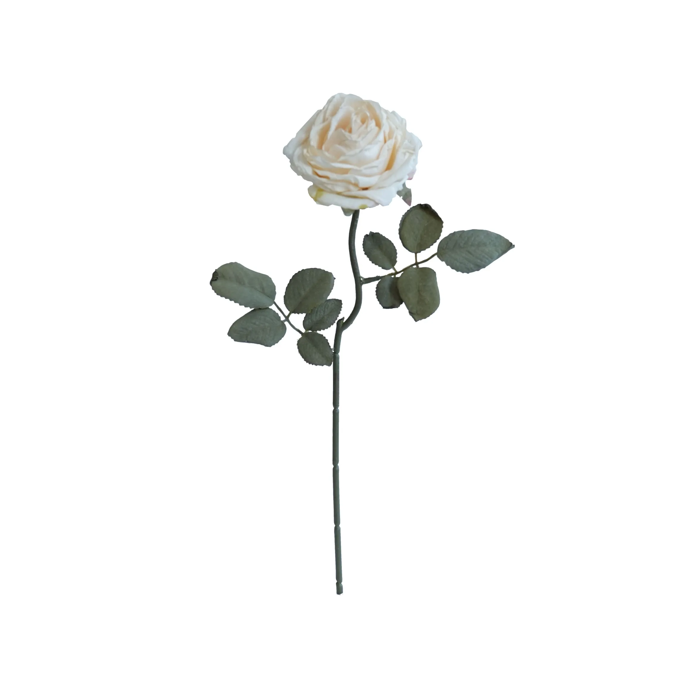 Rose multistrato confine di sughero